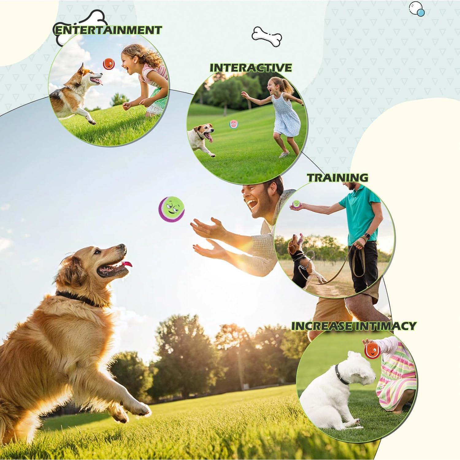 Pelotas de Tenis para Perros EXPAWLORER - Paquete de 12, 6.35 cm