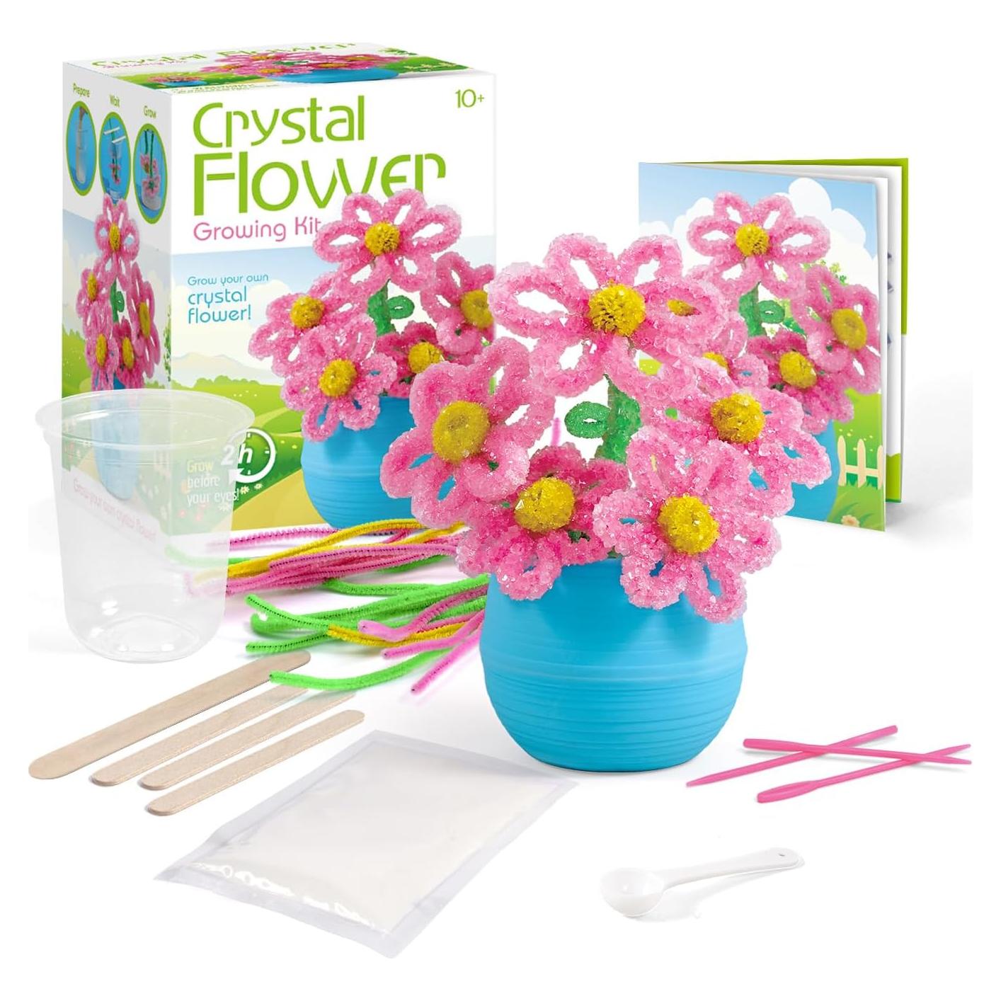 Kit de Crecimiento de Cristales EggBox - Experimentos Científicos