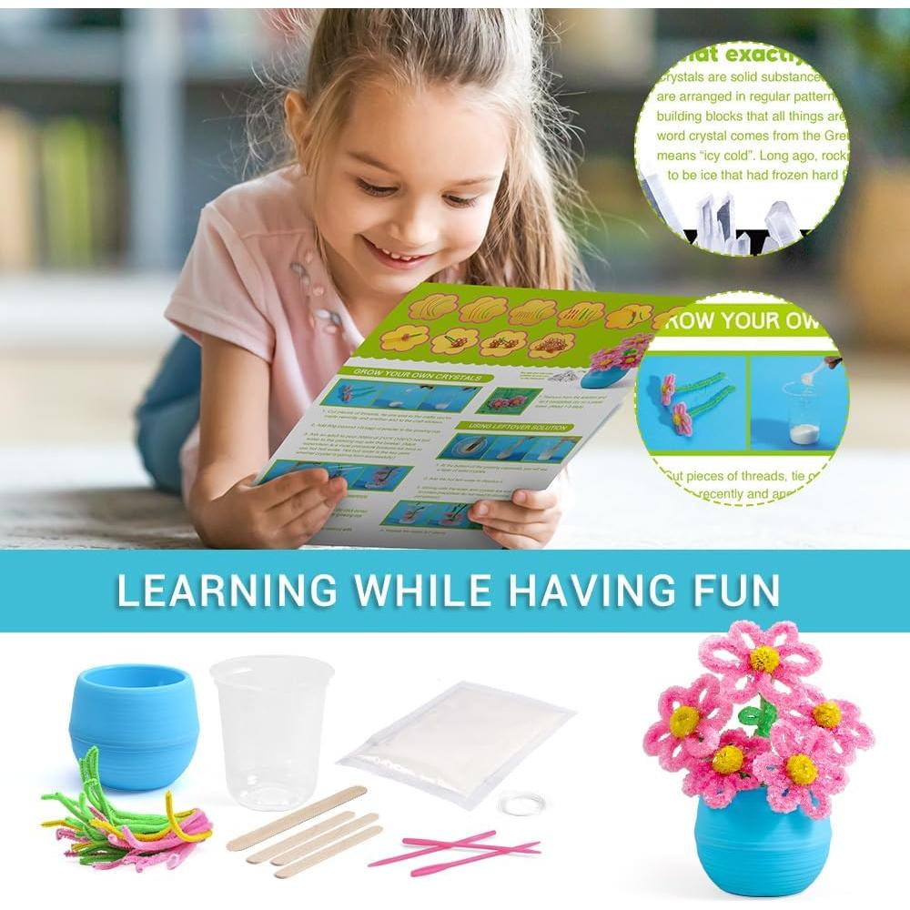 Kit de Crecimiento de Cristales EggBox - Experimentos Científicos