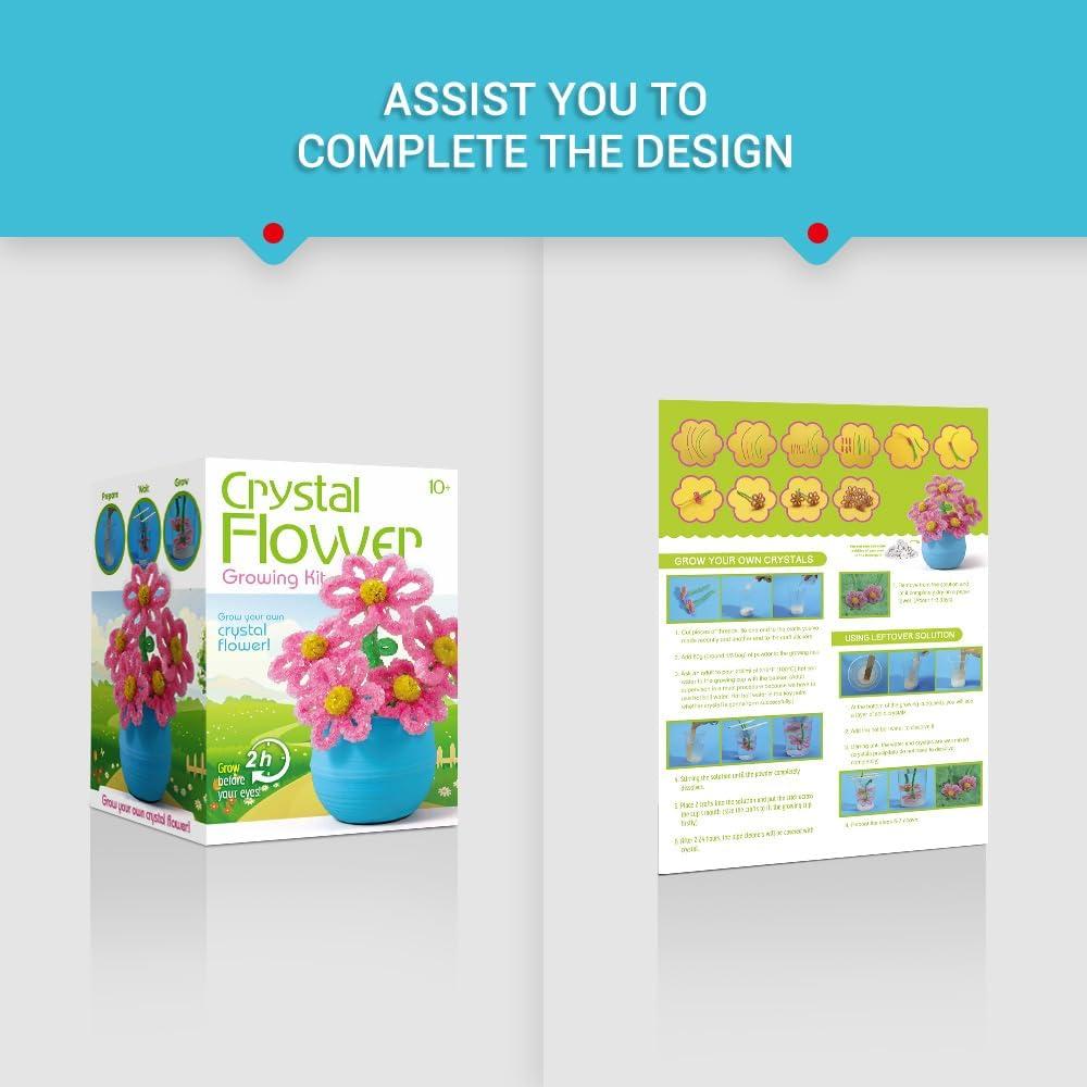 Kit de Crecimiento de Cristales EggBox - Experimentos Científicos