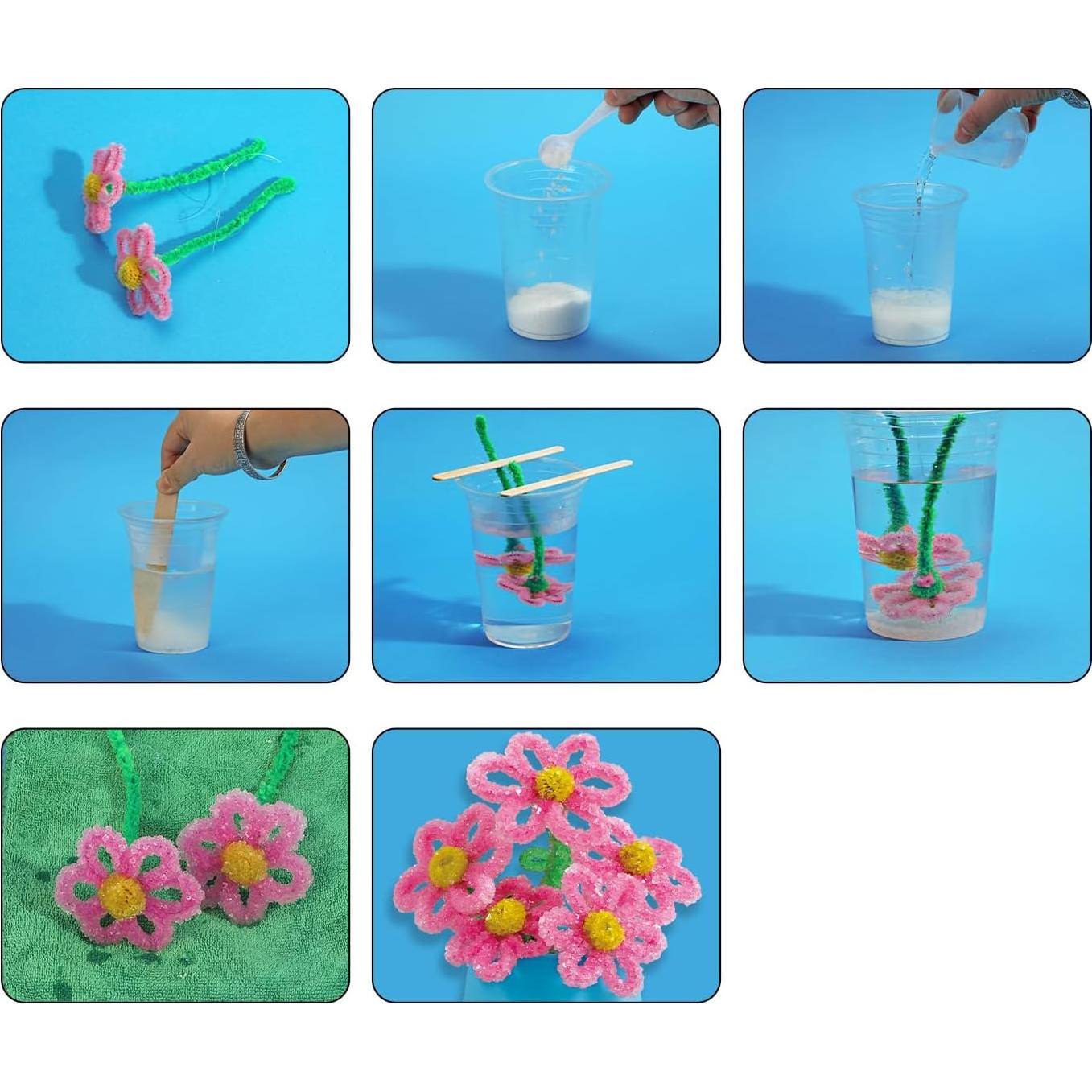 Kit de Crecimiento de Cristales EggBox - Experimentos Científicos