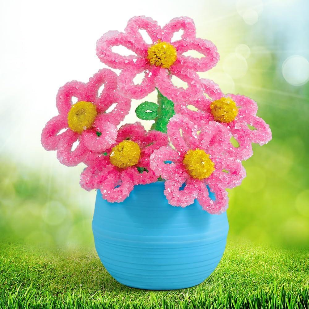 Kit de Crecimiento de Cristales EggBox - Experimentos Científicos