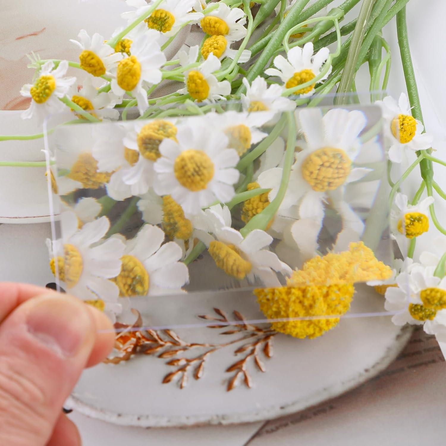 Lupa de Tarjeta de Crédito InnoHHustle 3X - 10 Piezas Portátil