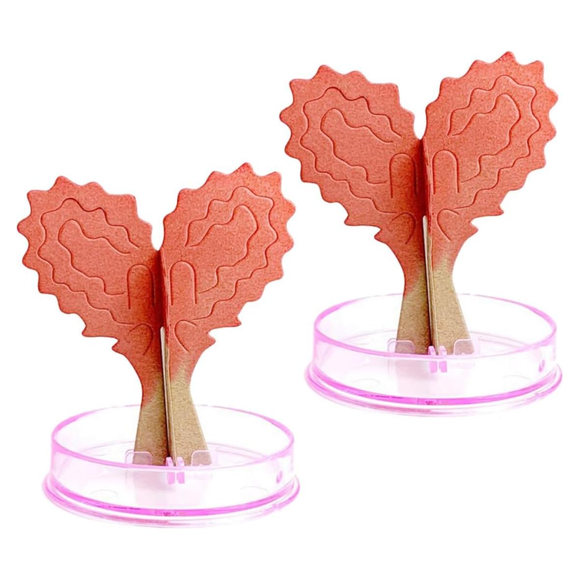 Kit de Crecimiento de Cristales en Forma de Corazón Vaguelly