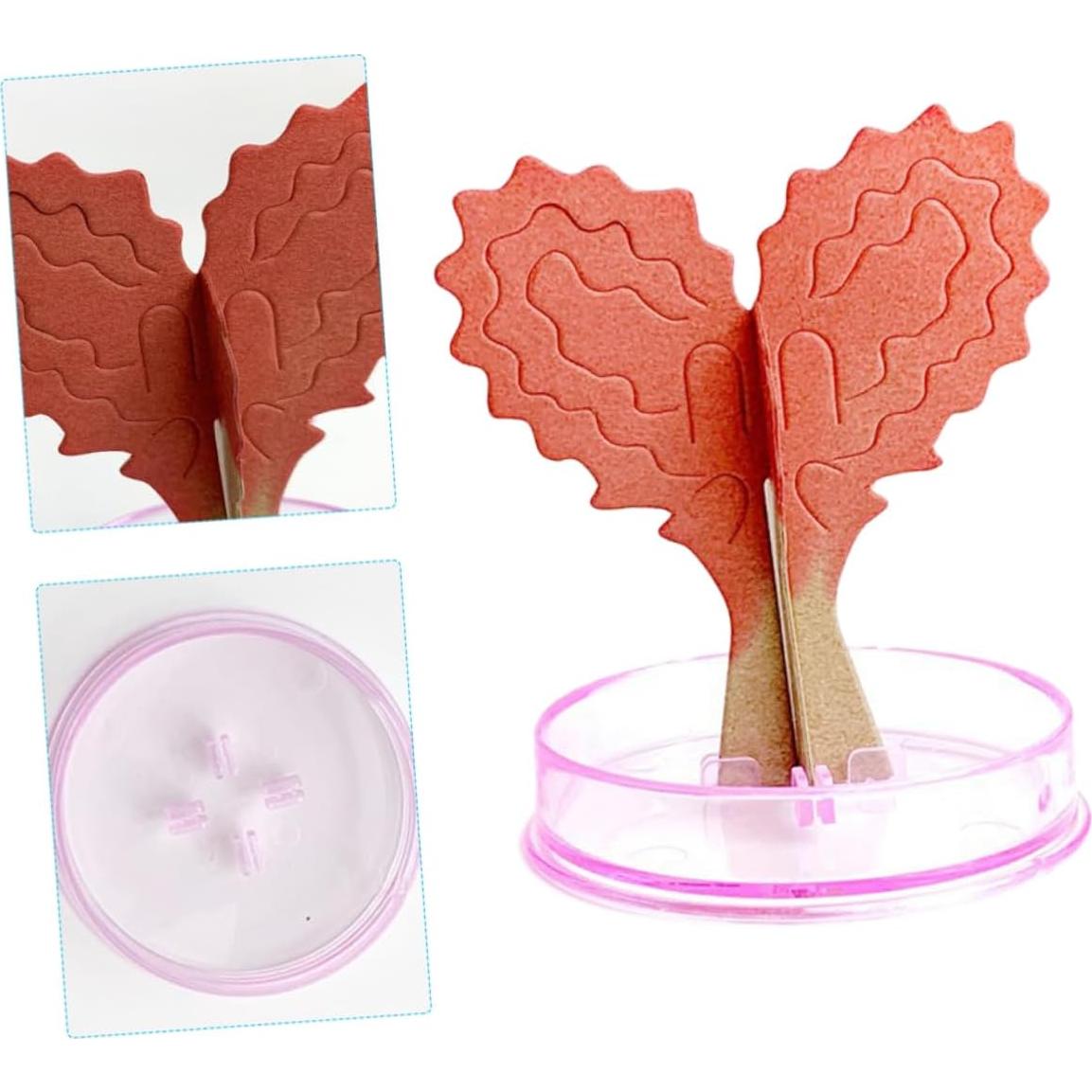 Kit de Crecimiento de Cristales en Forma de Corazón Vaguelly