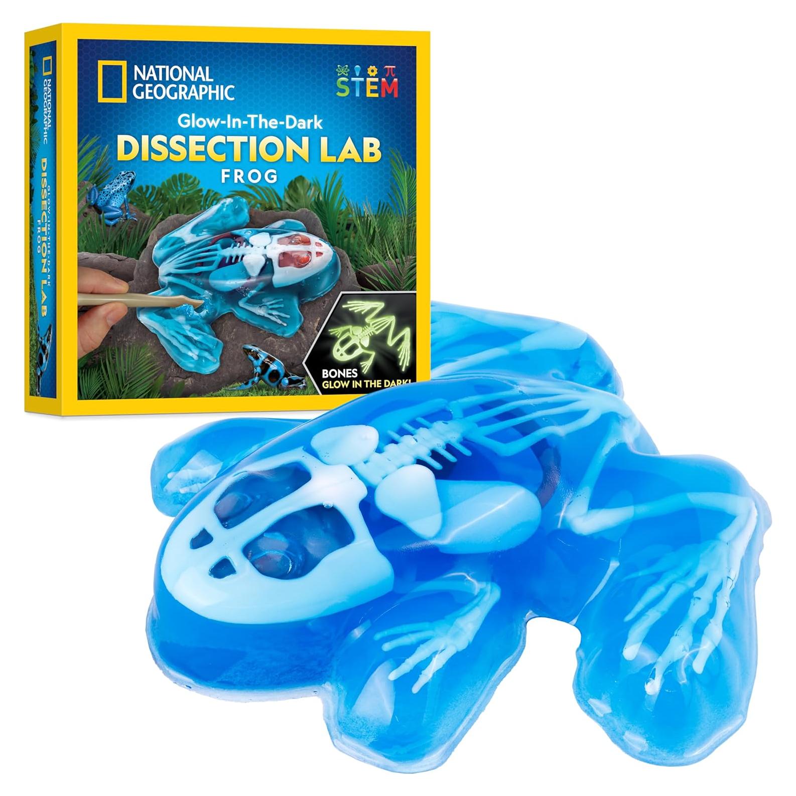 Kit de Disección de Rana Sintética National Geographic - 11 Piezas Brillantes