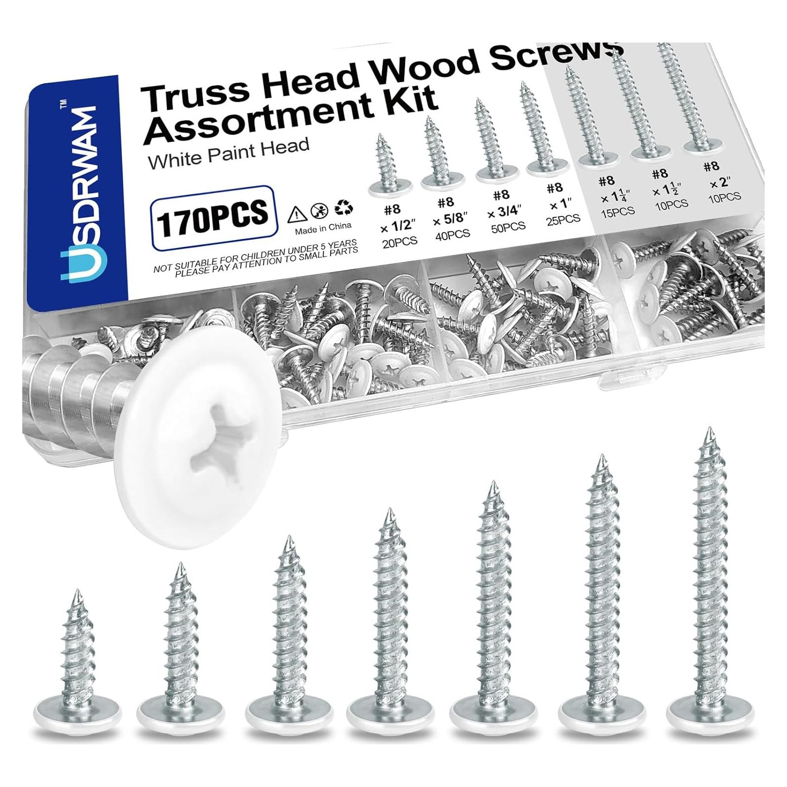 Kit de 170 Tornillos Autoperforantes Truss #8 Usdrwam