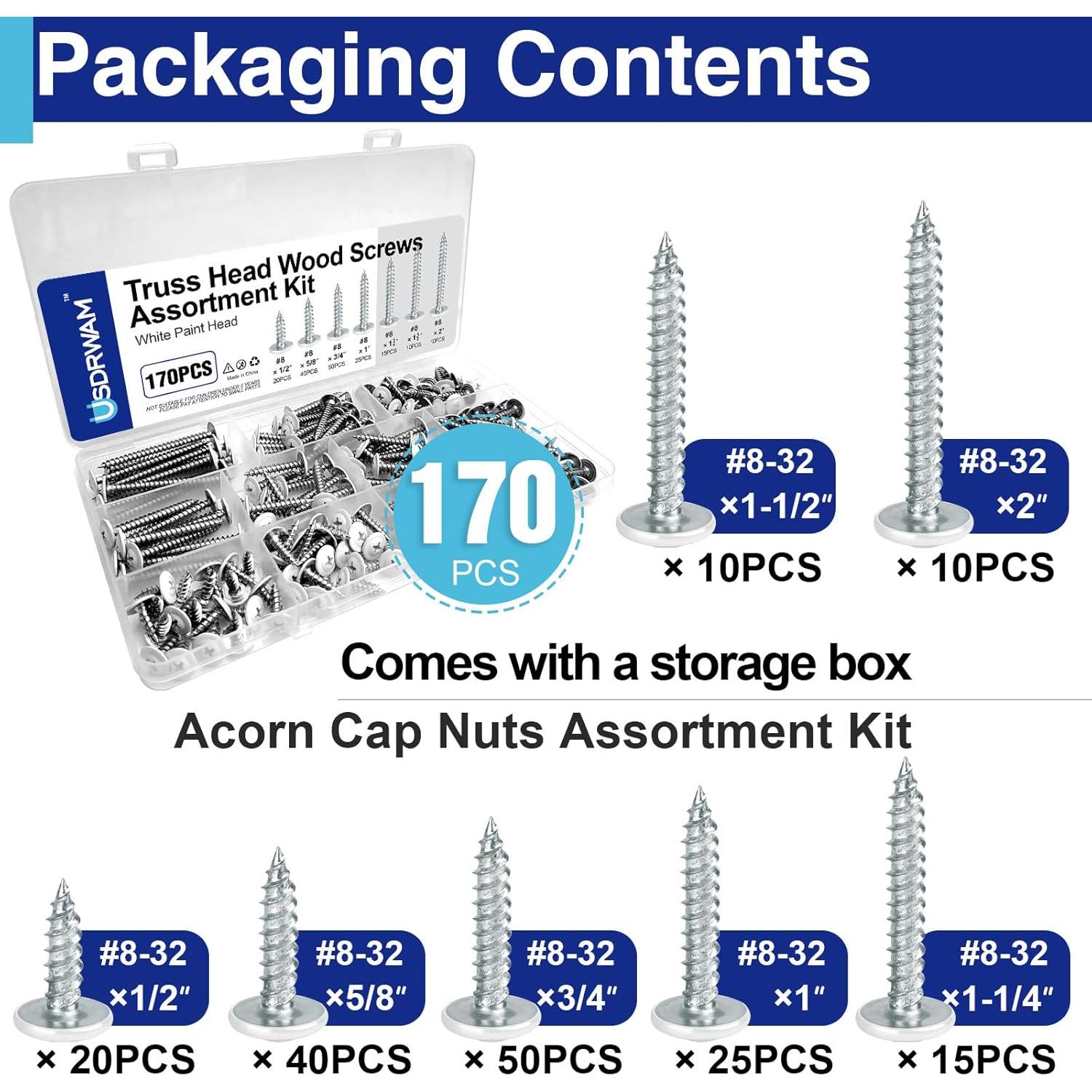 Kit de 170 Tornillos Autoperforantes Truss #8 Usdrwam