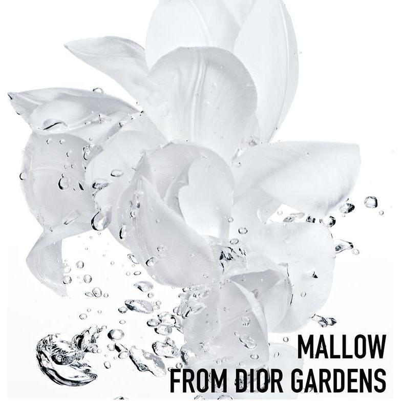 Crema Hidratante Sorbete Hydra Life Christian Dior 48g