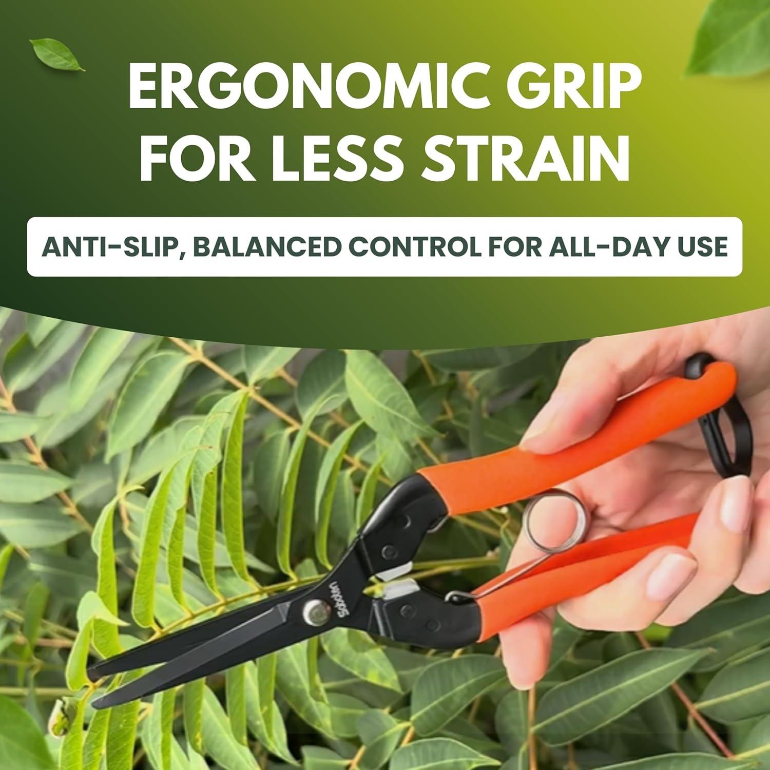 Tijeras de Cosecha Profesionales Saboten 20.07 cm - Acero Inoxidable