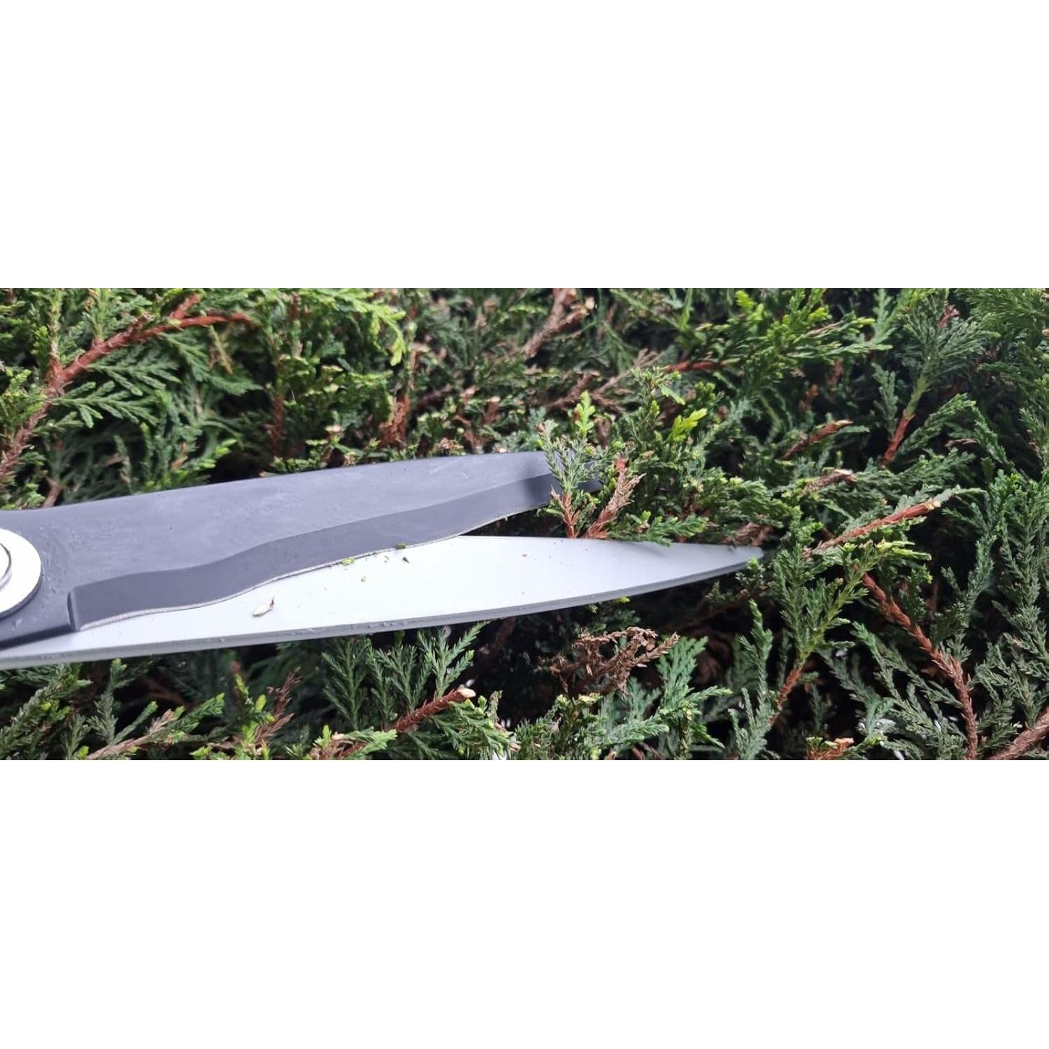 Tijeras de seto Kimura Pro 55.88 cm acero japonés SK5