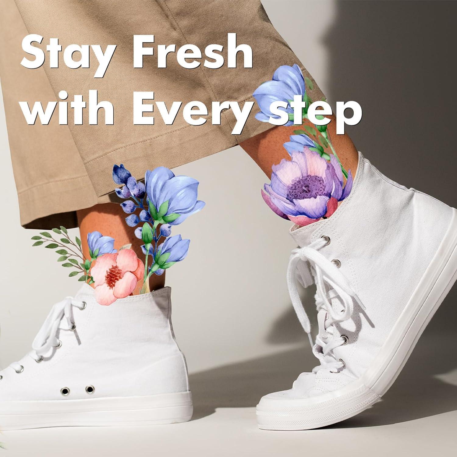 Bolas Desodorantes para Zapatos xcleen Aroma Eucalipto 6 Unidades