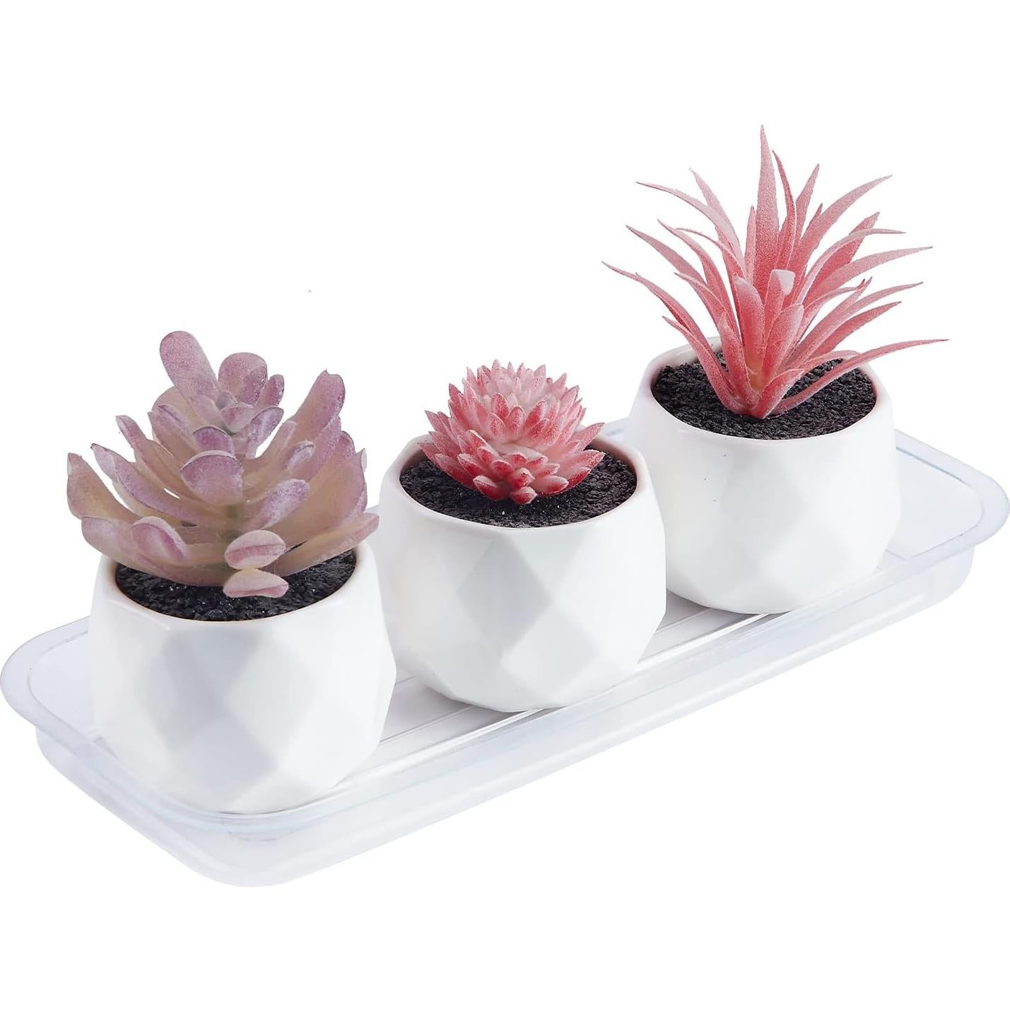 Bandejas de Goteo Idyllize 5 Piezas 38x15 cm Plástico Resistente