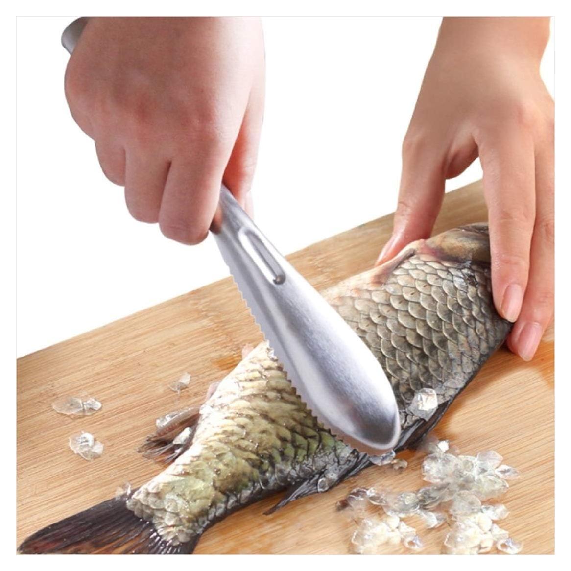 Cepillo Quitacáscaras de Pescado COPORA Acero Inoxidable 17.78 cm