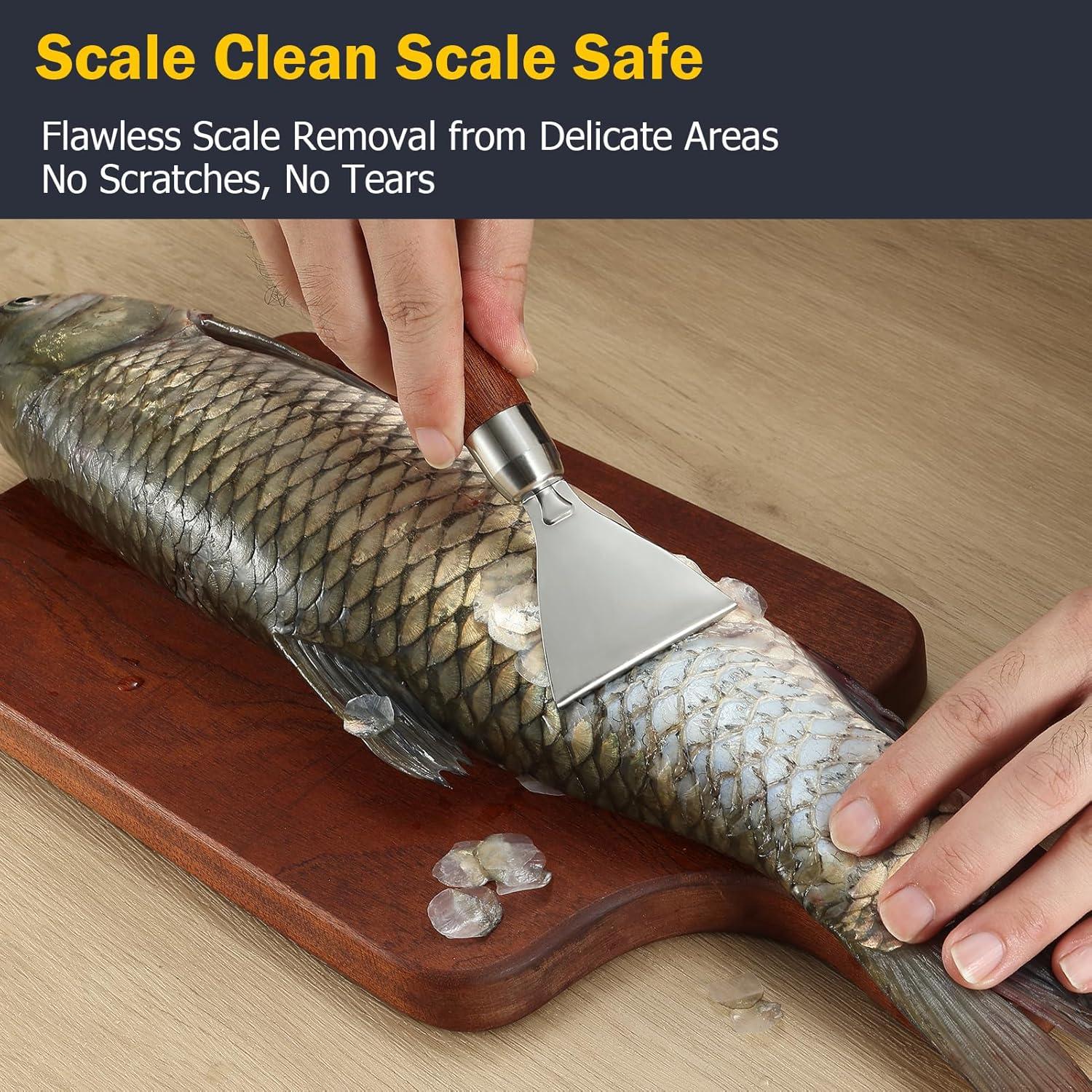 Removedor de Escamas de Pescado Iziusy Acero Inoxidable