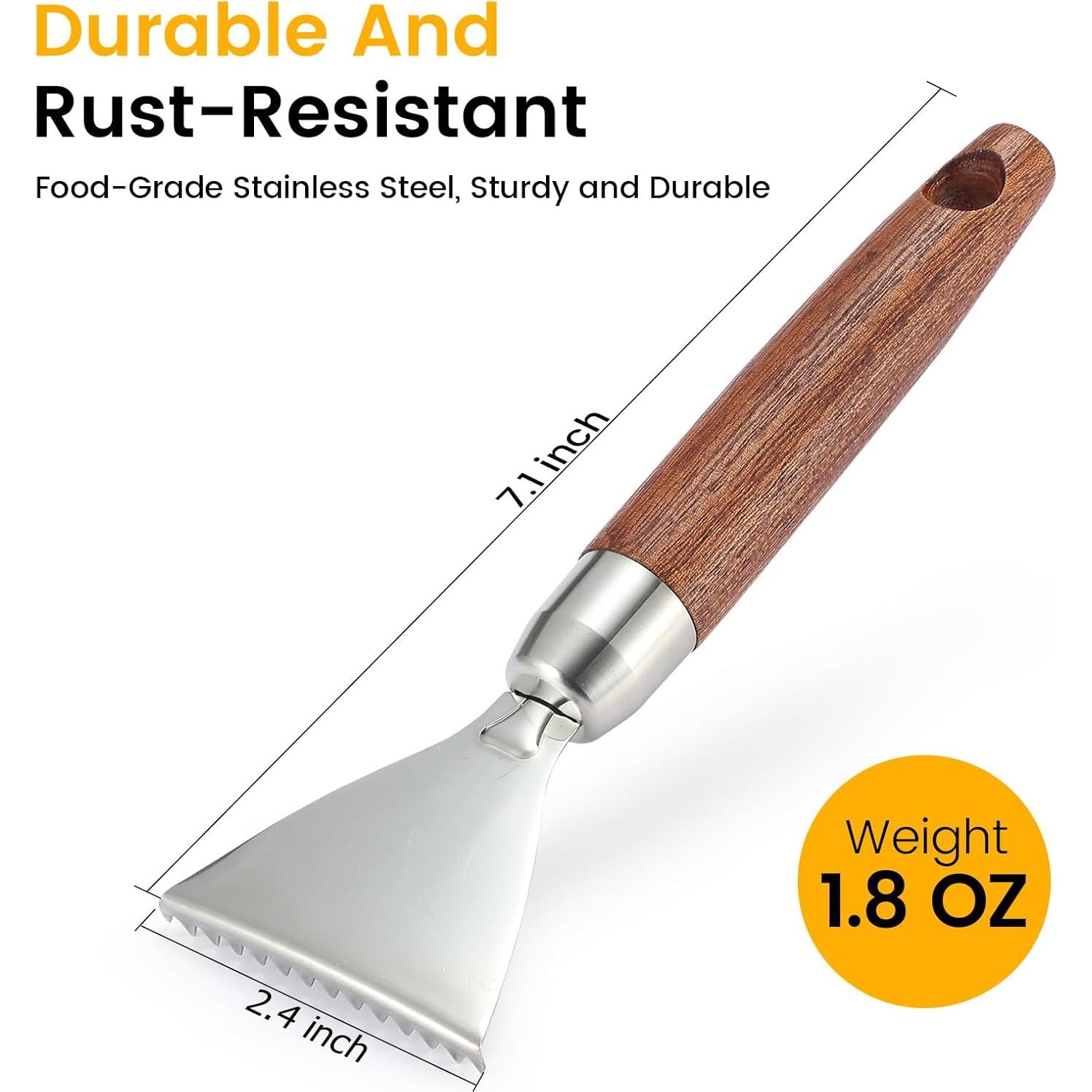 Removedor de Escamas de Pescado Iziusy Acero Inoxidable