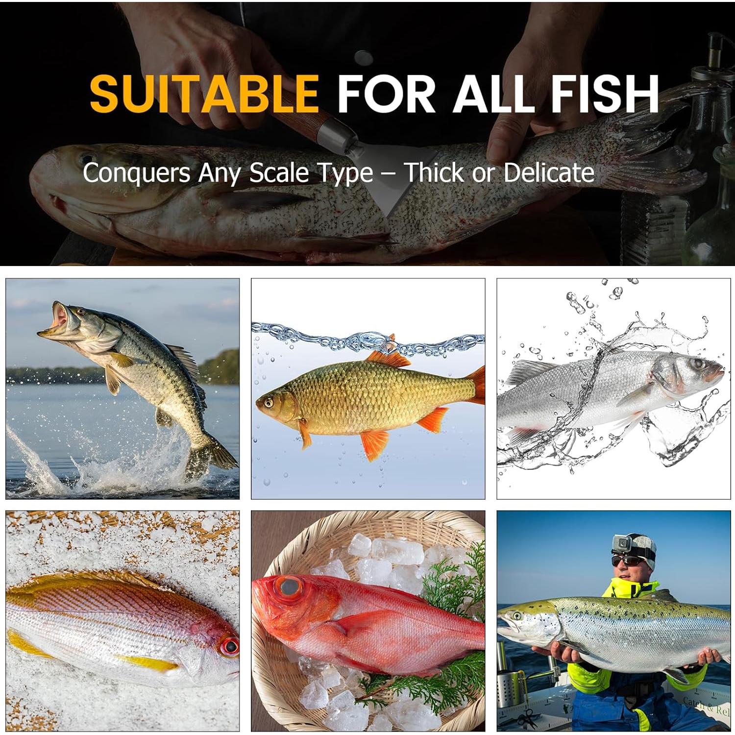 Removedor de Escamas de Pescado Iziusy Acero Inoxidable