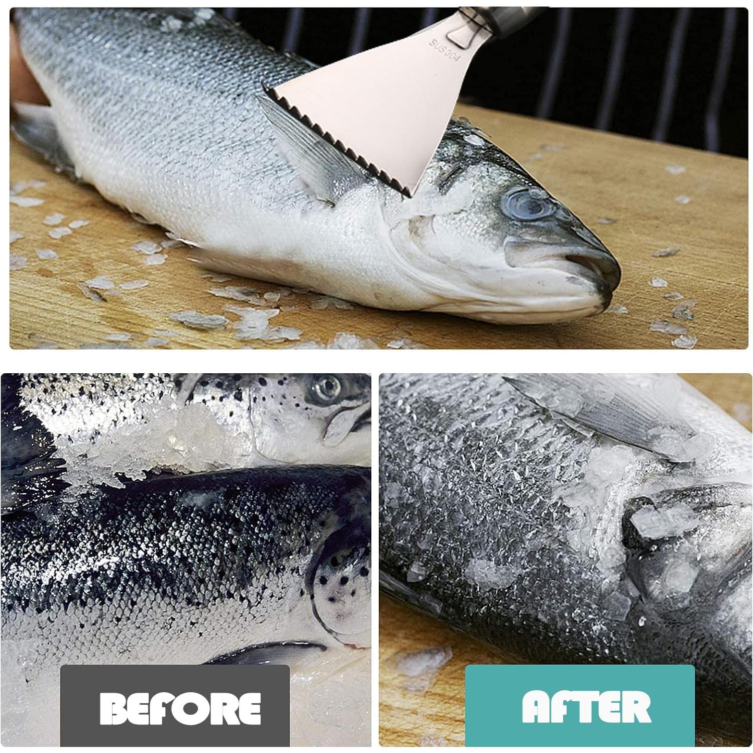 Removedor de Escamas de Pescado Esteopt 304A Acero Inoxidable