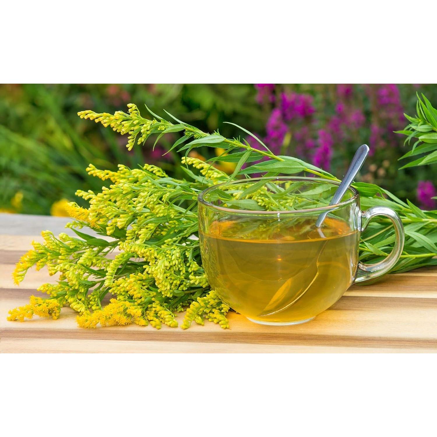 Té Herbal de Hierba de Goldenrod Health Embassy 50g