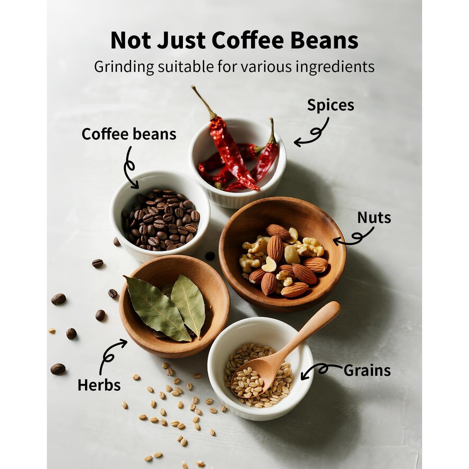 Molino de café eléctrico SHARDOR CG0802, silencioso y ajustable