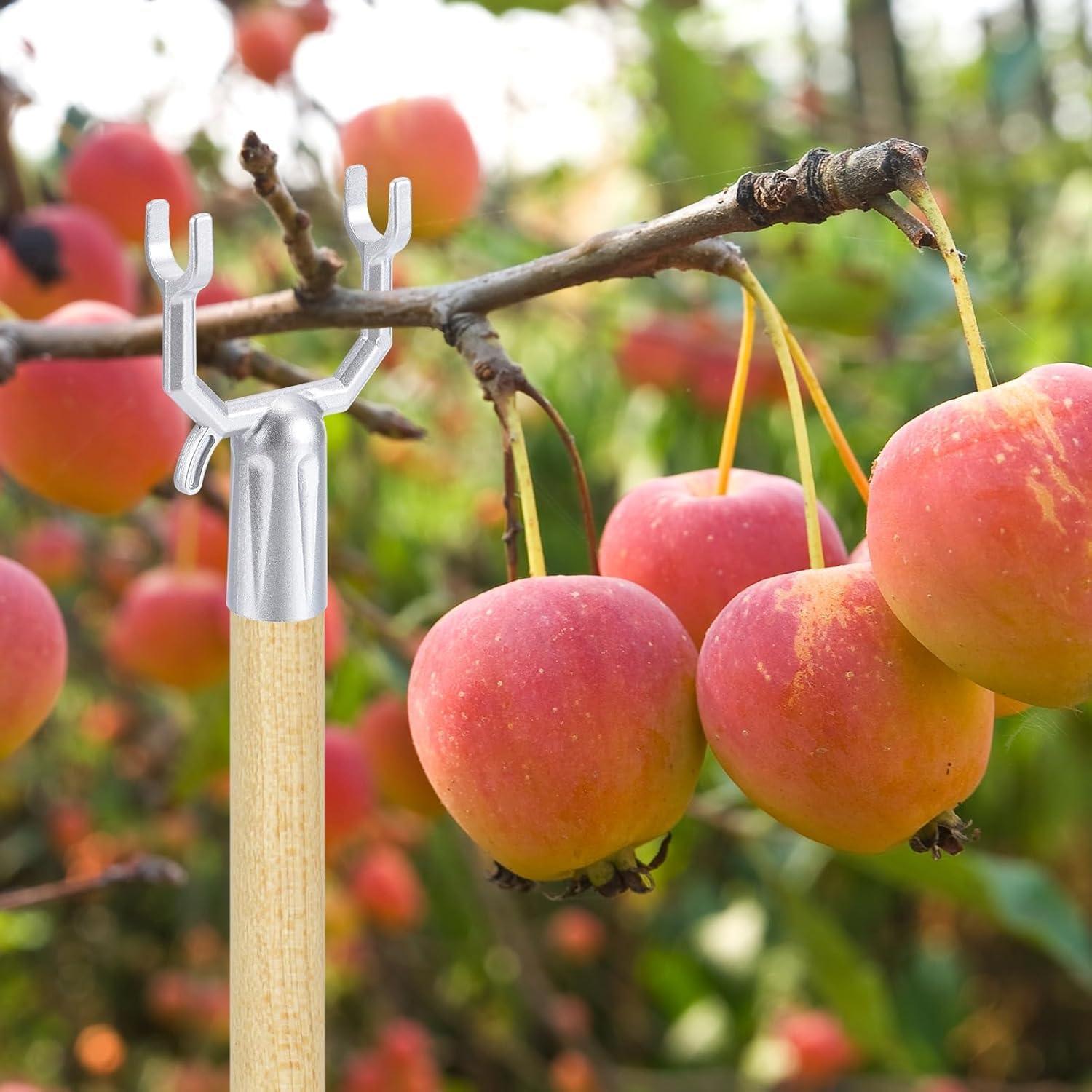 Soporte de Cuerda Retráctil Telescópico Haohaiblooms 1.91cm