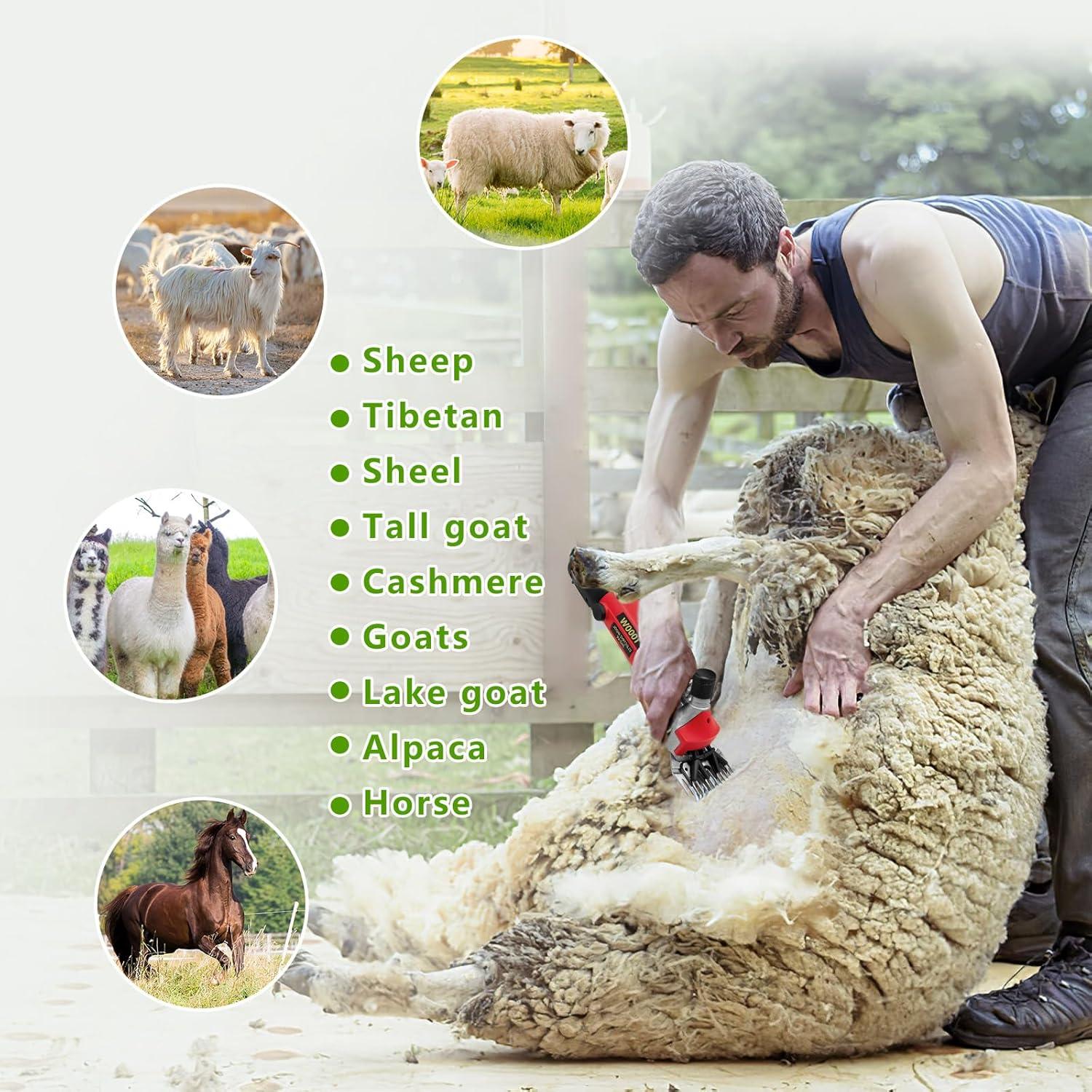 Cortadora de Ovejas Eléctrica PAT JUUMG 1000W 6 Velocidades