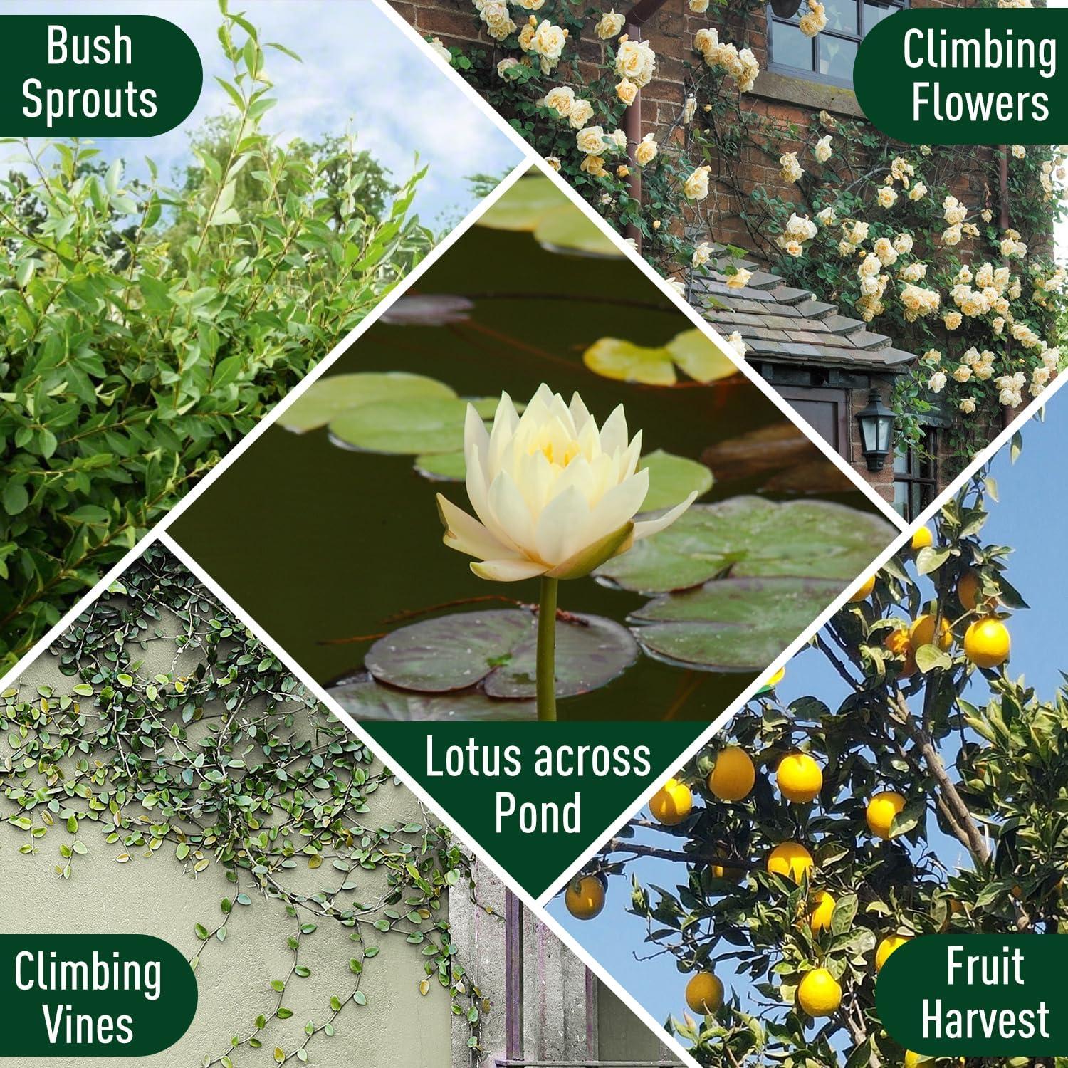 Podadora Telescópica Jardineer 6-10 pies Ligera Ergonómica