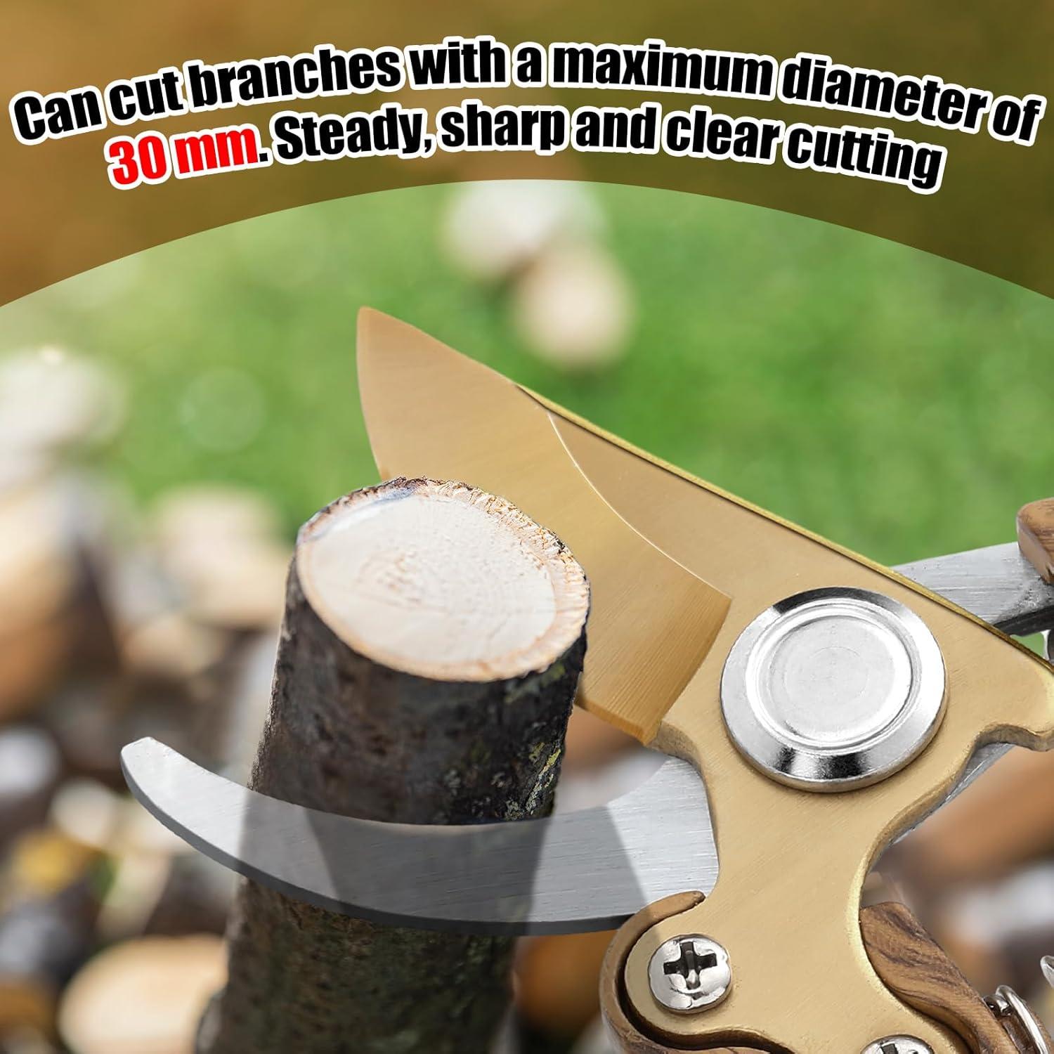 Tijeras de Jardinería Lothee Japonesas de Acero al Carbono