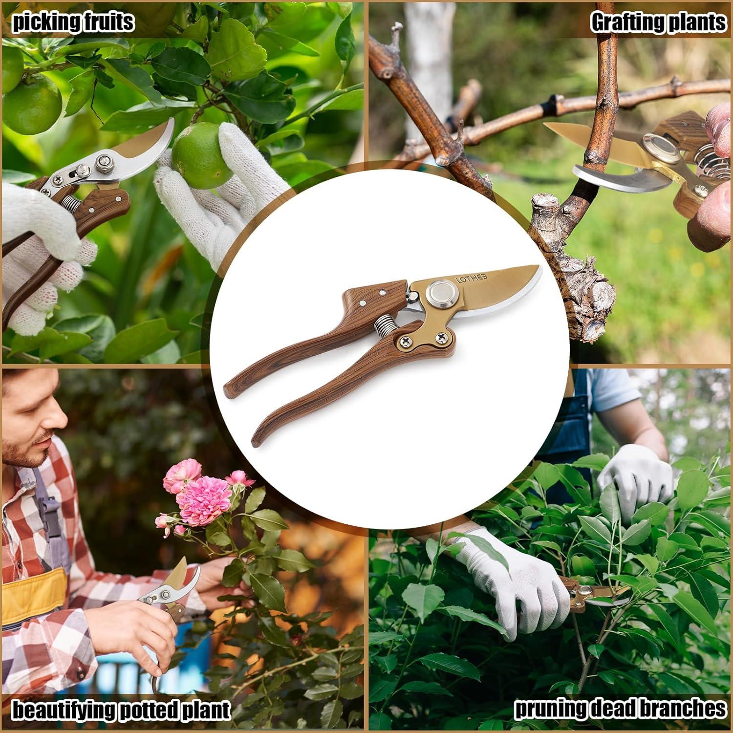 Tijeras de Jardinería Lothee Japonesas de Acero al Carbono