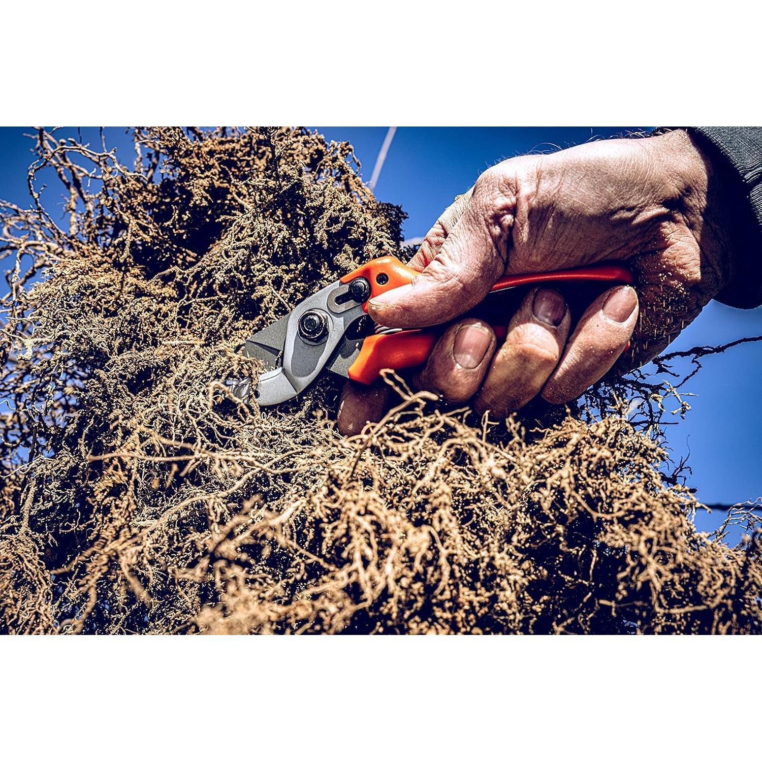 Tijeras de Podar Anvil LÖWE 15.107 para Manos Pequeñas