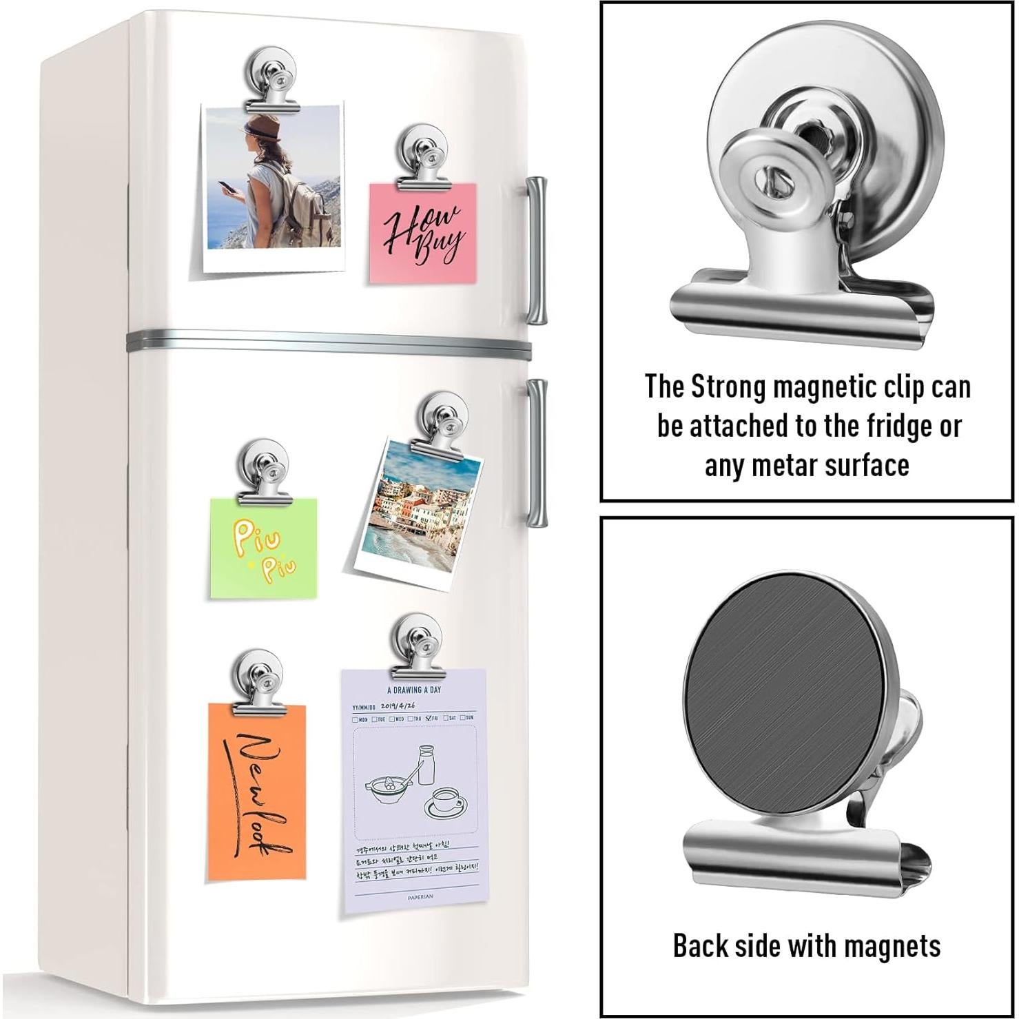 Clips Magnéticos FINDMAG 12 Piezas Acero Inoxidable Plateado