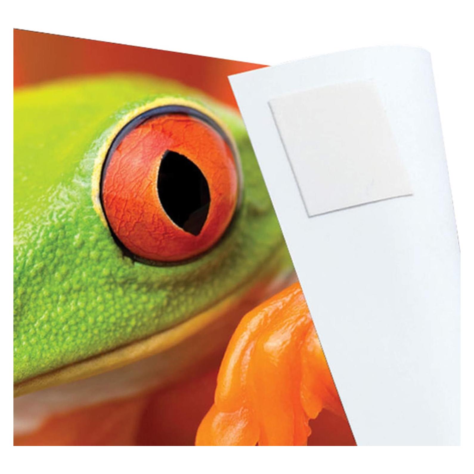 Pestañas de Montaje de Fotos Lineco Infinity Blancas 230 Unidades