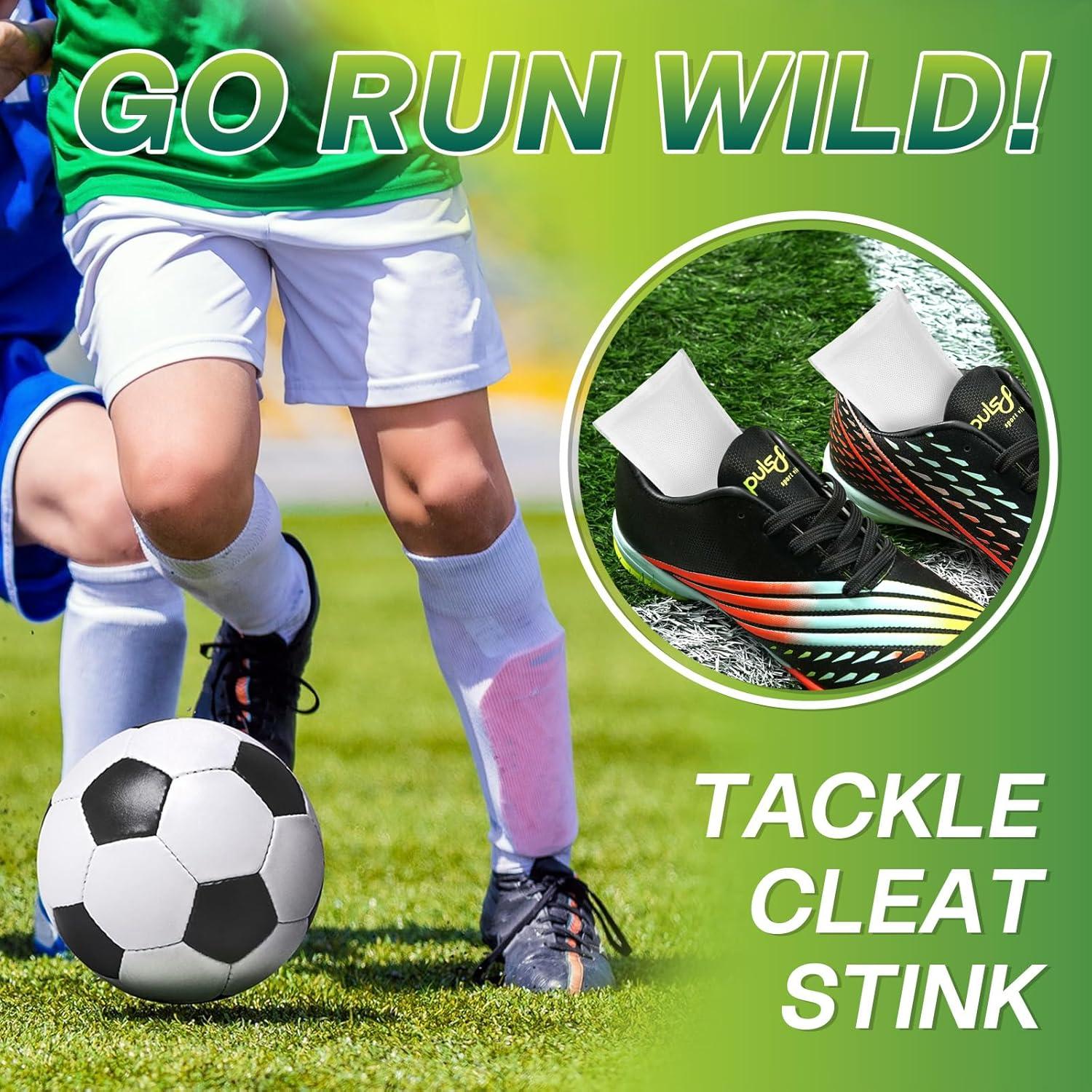 Insertos Desodorantes para Zapatos KIKYO Sin Fragancia 311g