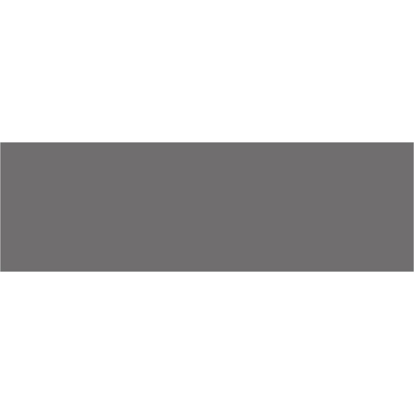 Alfombrilla Absorbente Antideslizante BANEBOR 78.74x30.48cm Gris