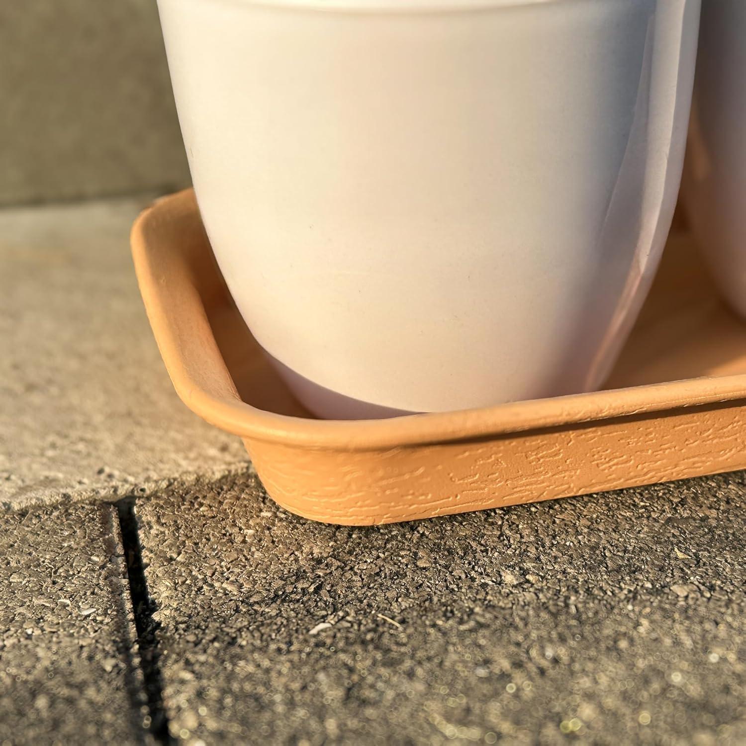 Bandeja Rectangular de Plástico Cozyou 27x10.67 cm Marrón Claro