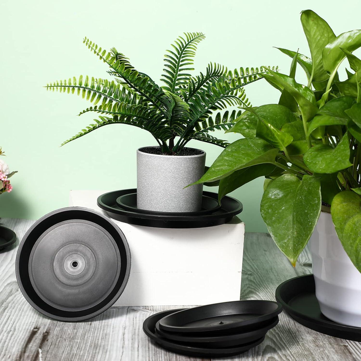 Paquete de 16 bandejas de plástico Patelai para plantas 10-25 cm