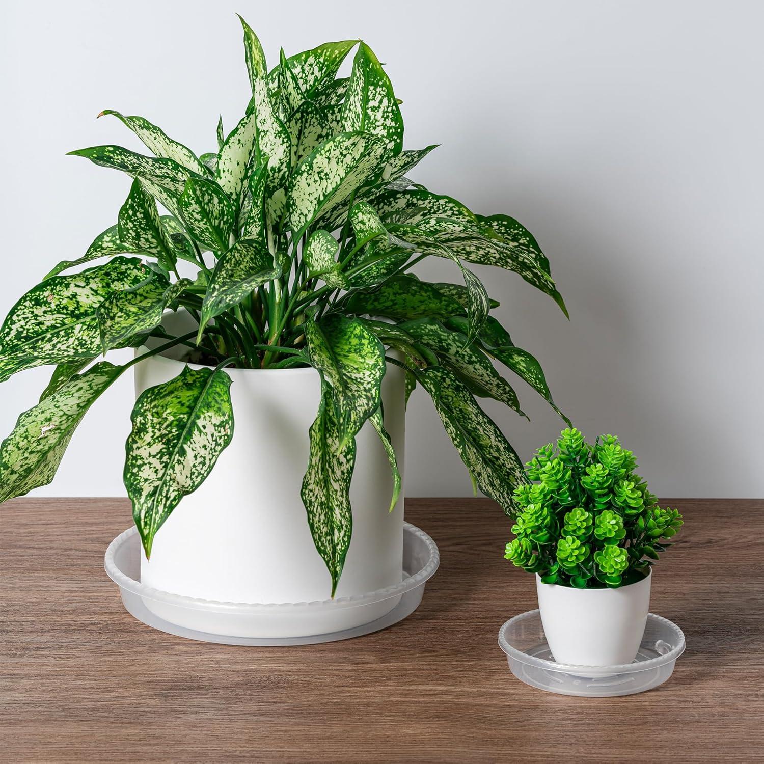 Bandejas para Plantas Hoewina - Paquete de 6 de 25.4 cm