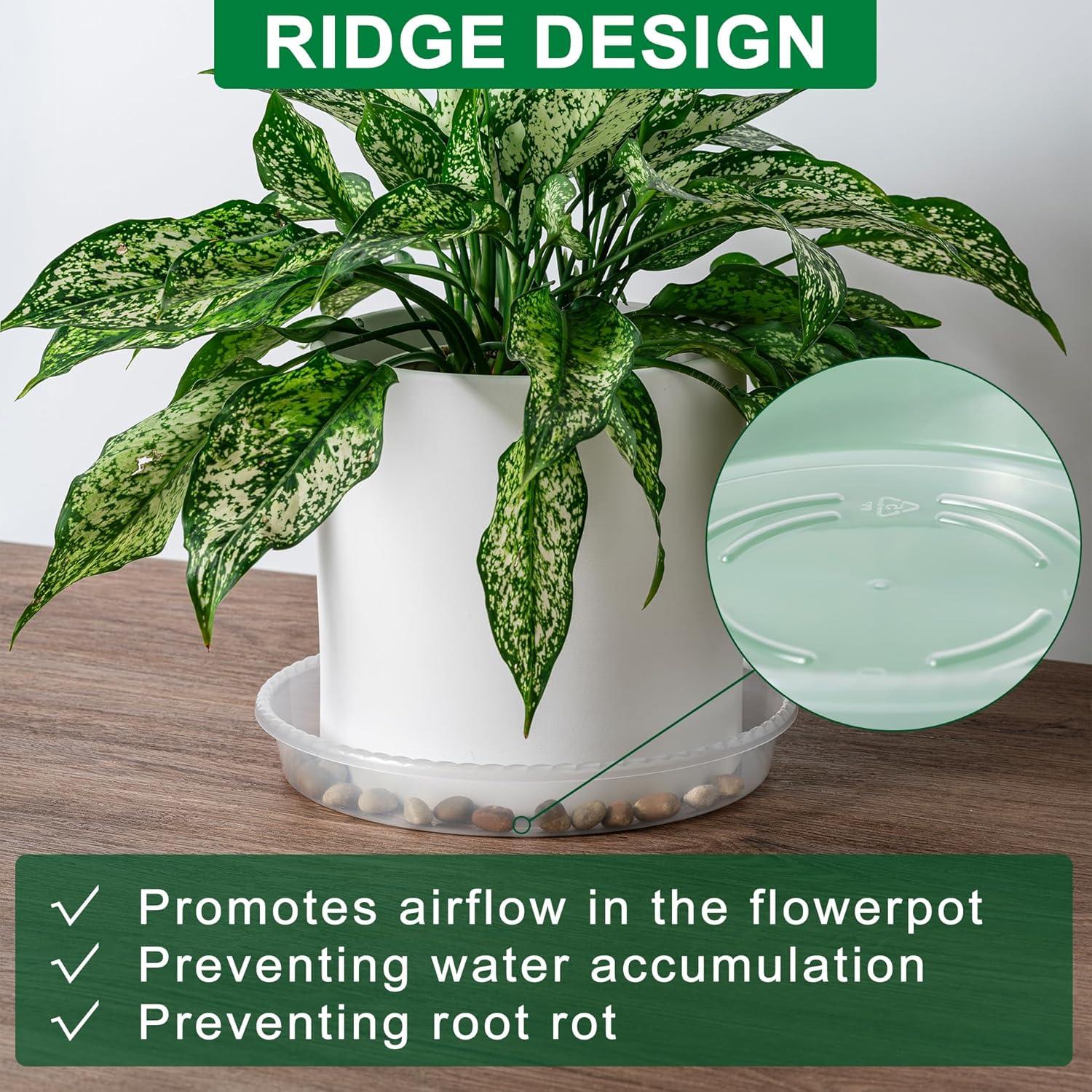 Bandejas para Plantas Hoewina - Paquete de 6 de 25.4 cm