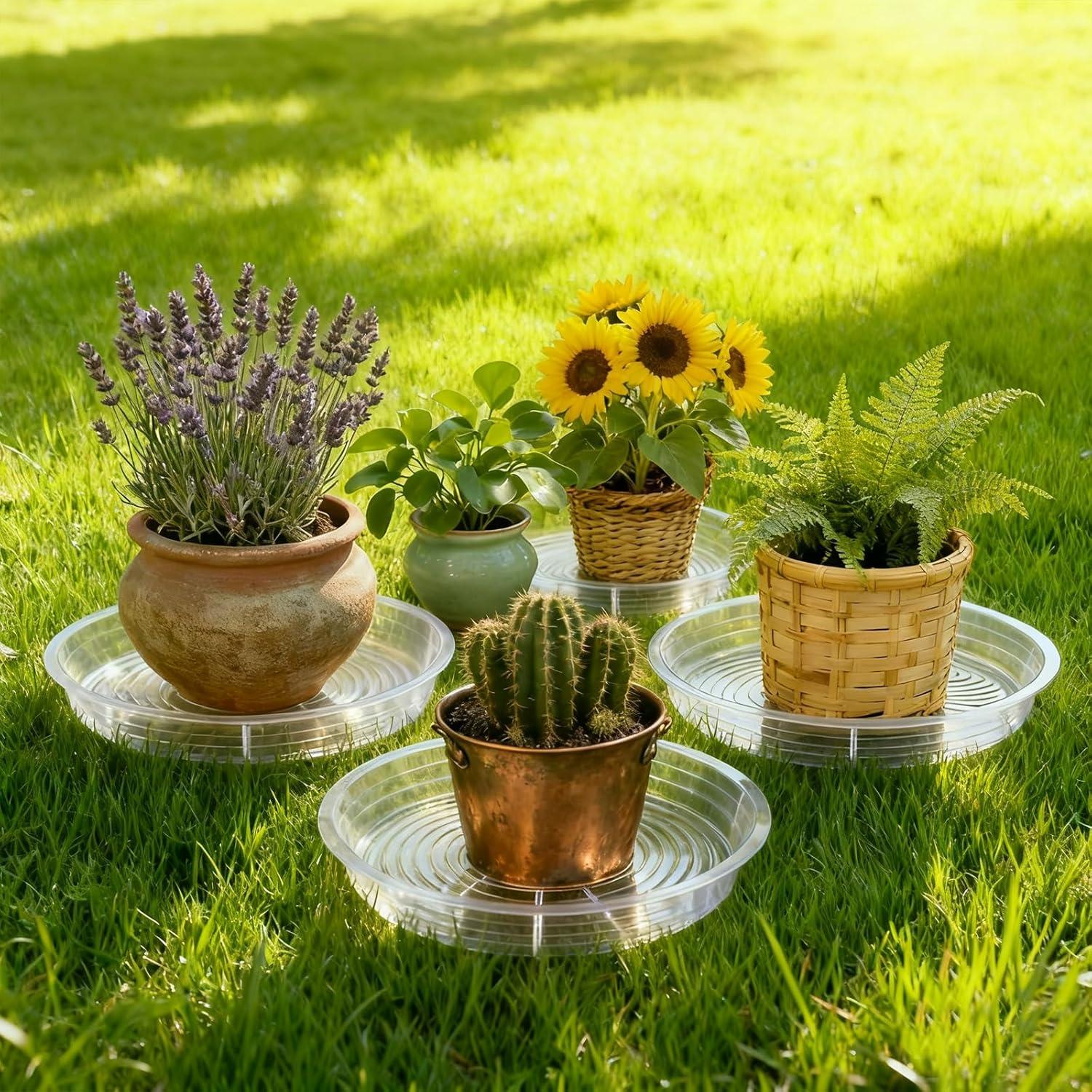 Paquete de 5 Platillos Transparentes TITE 40.6 cm para Plantas