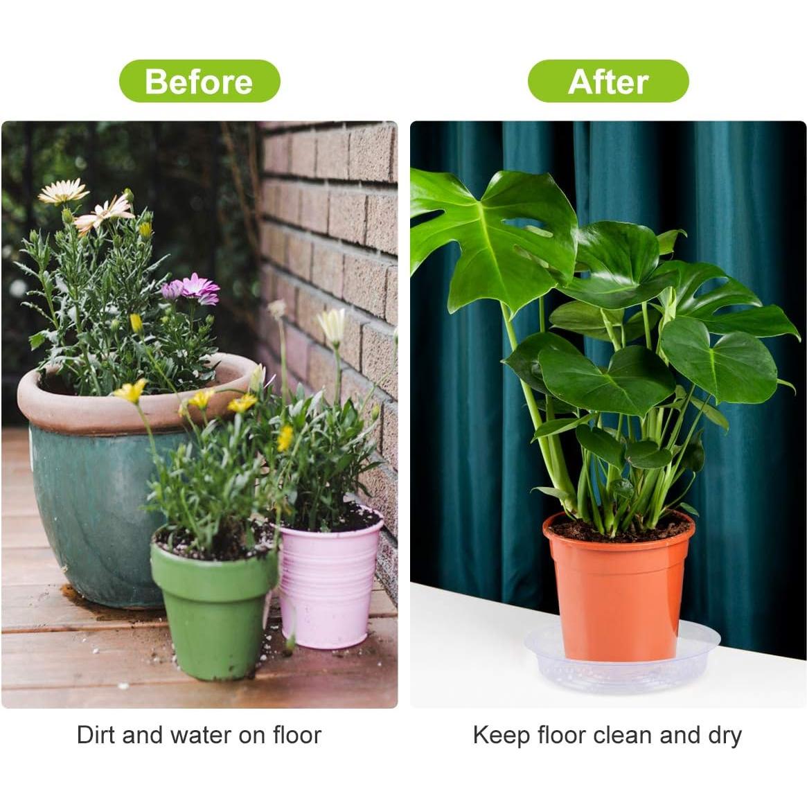 Paquete de 5 Platillos Transparentes TITE 40.6 cm para Plantas