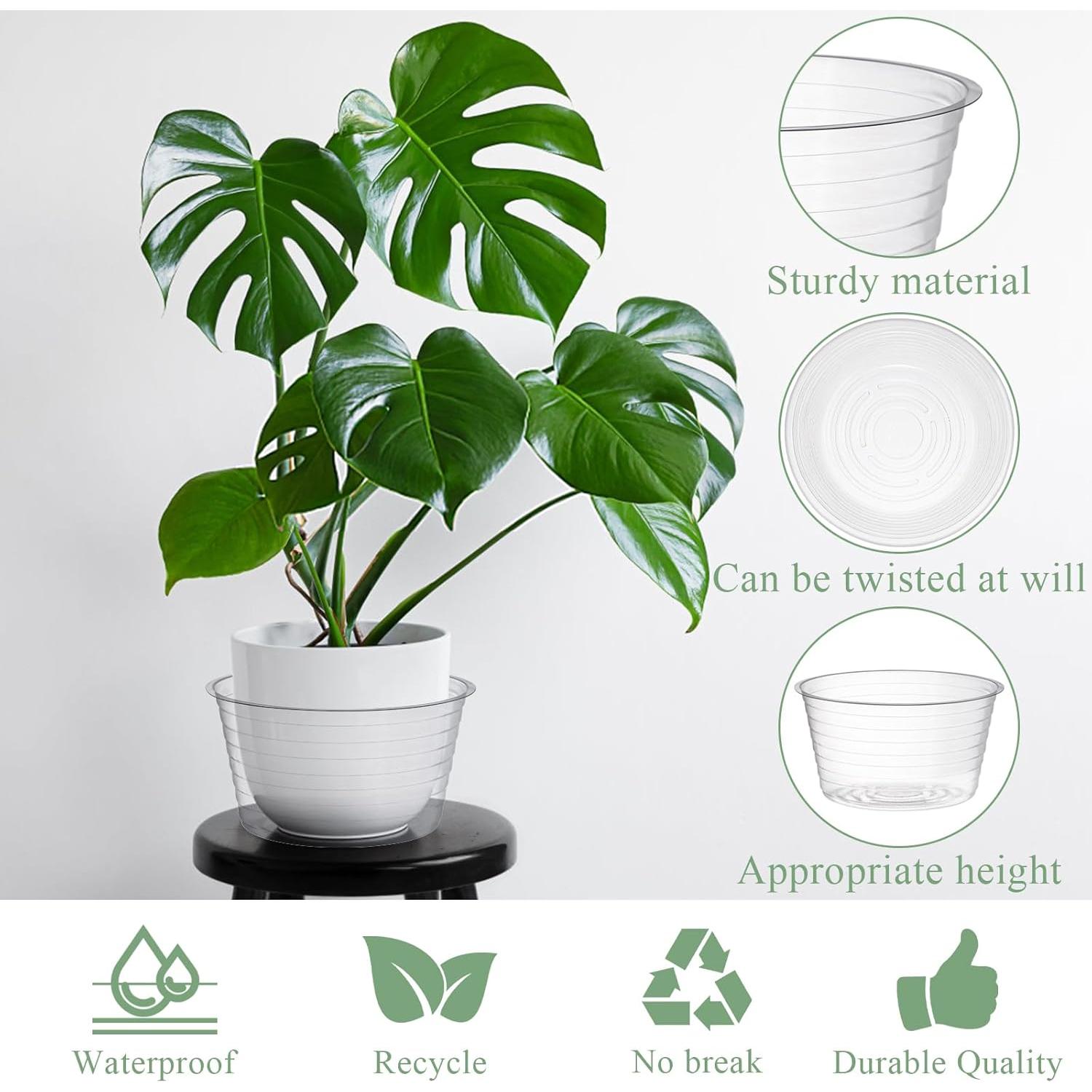 Tebery 50 Platillos de Plástico Transparente 15 cm para Macetas