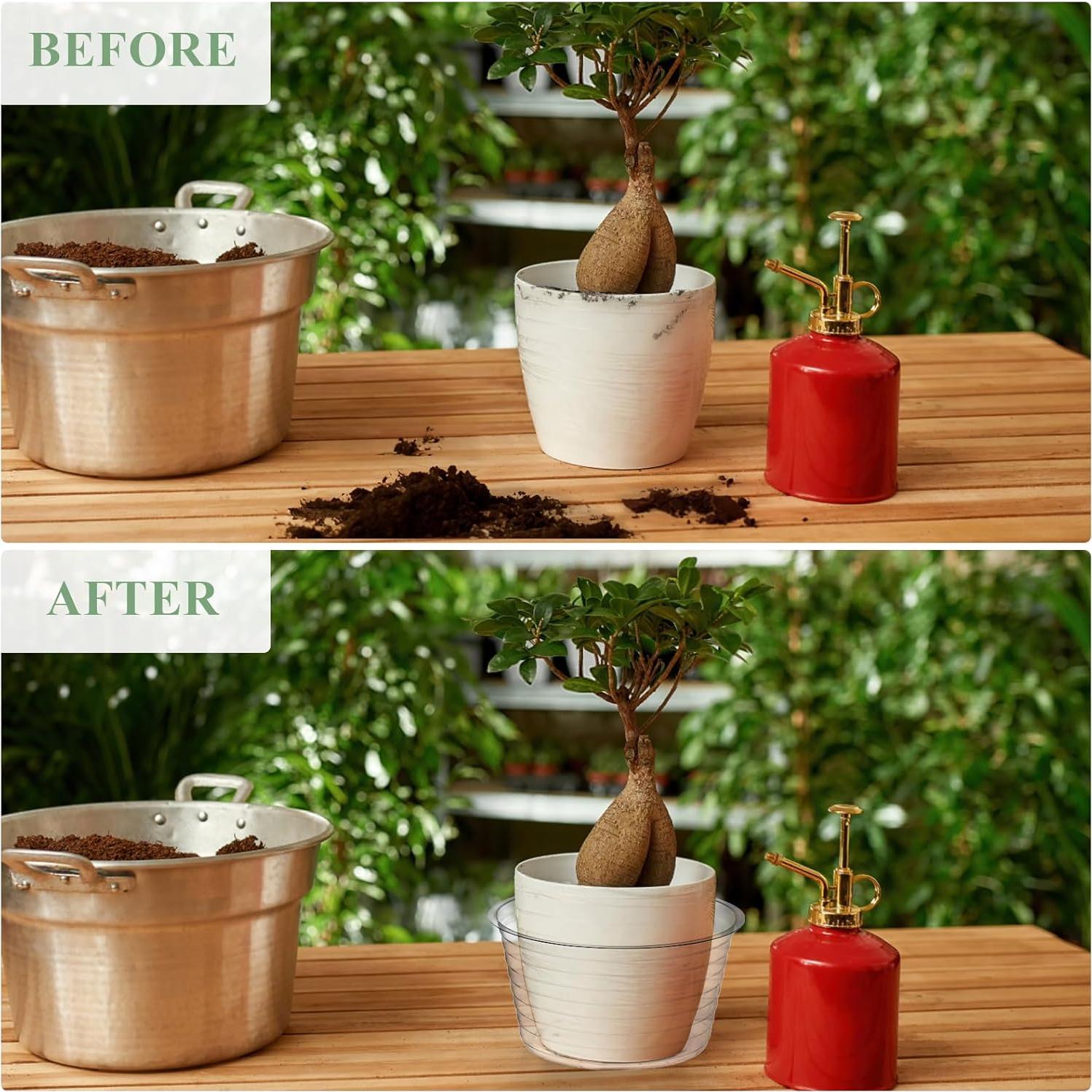 Tebery 50 Platillos de Plástico Transparente 15 cm para Macetas