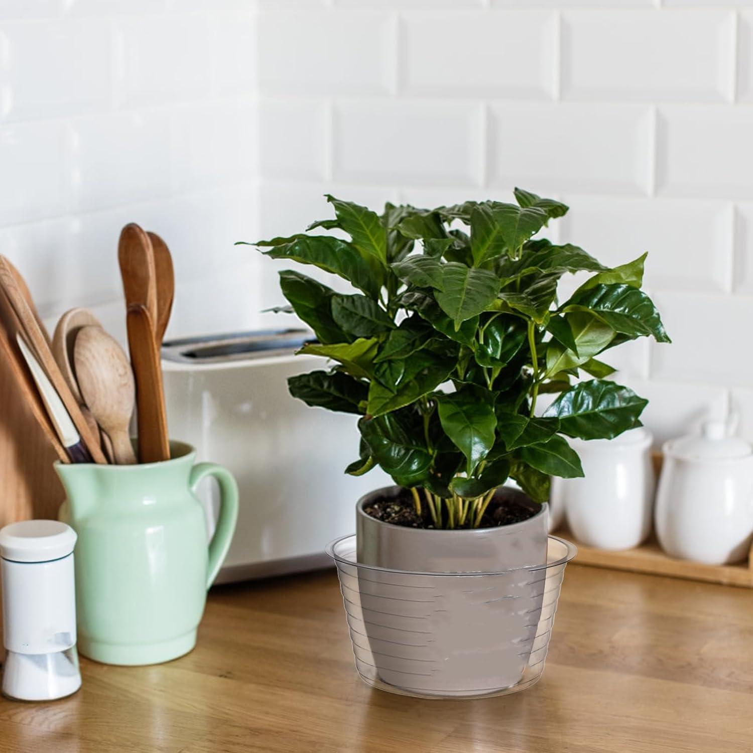 Tebery 50 Platillos de Plástico Transparente 15 cm para Macetas