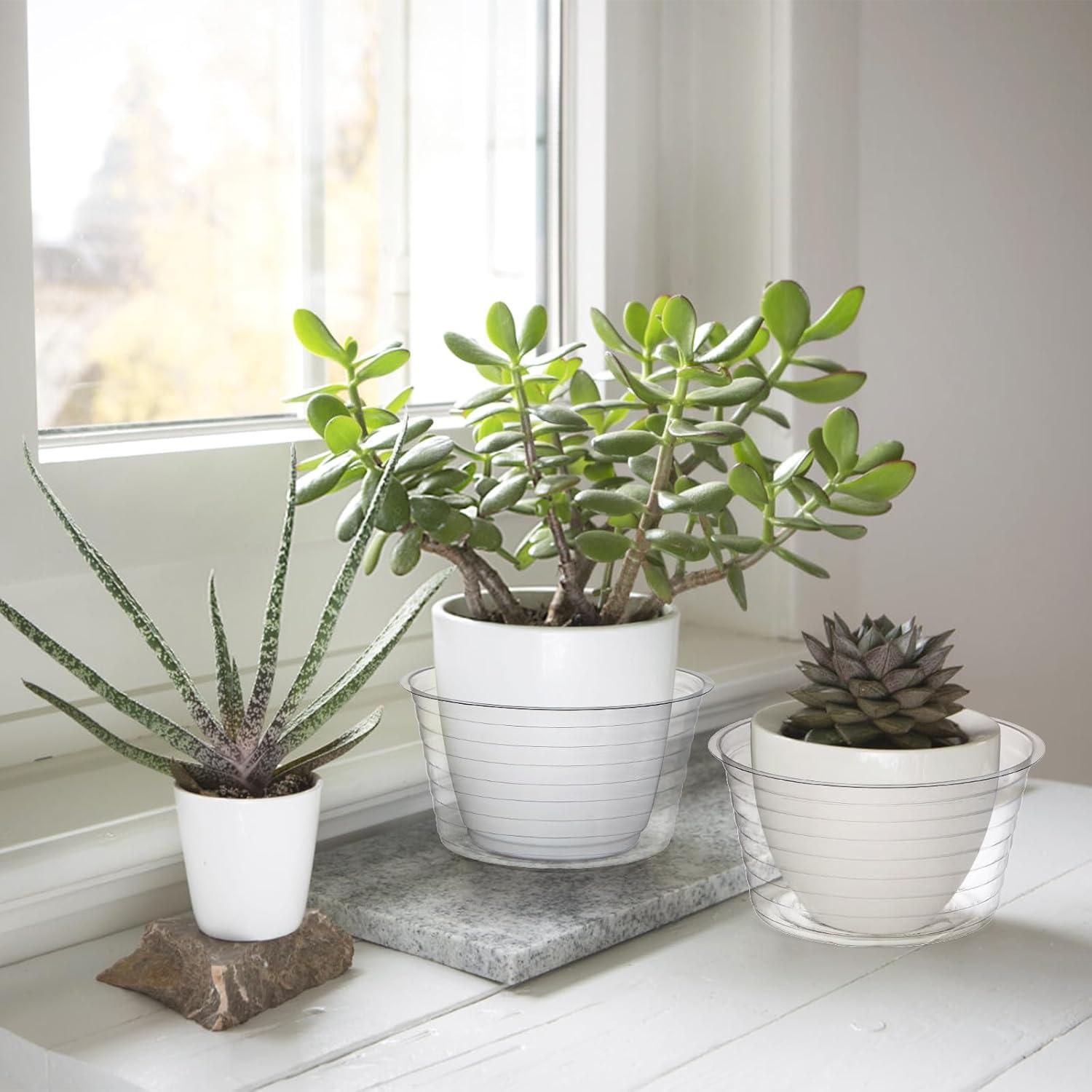 Tebery 50 Platillos de Plástico Transparente 15 cm para Macetas