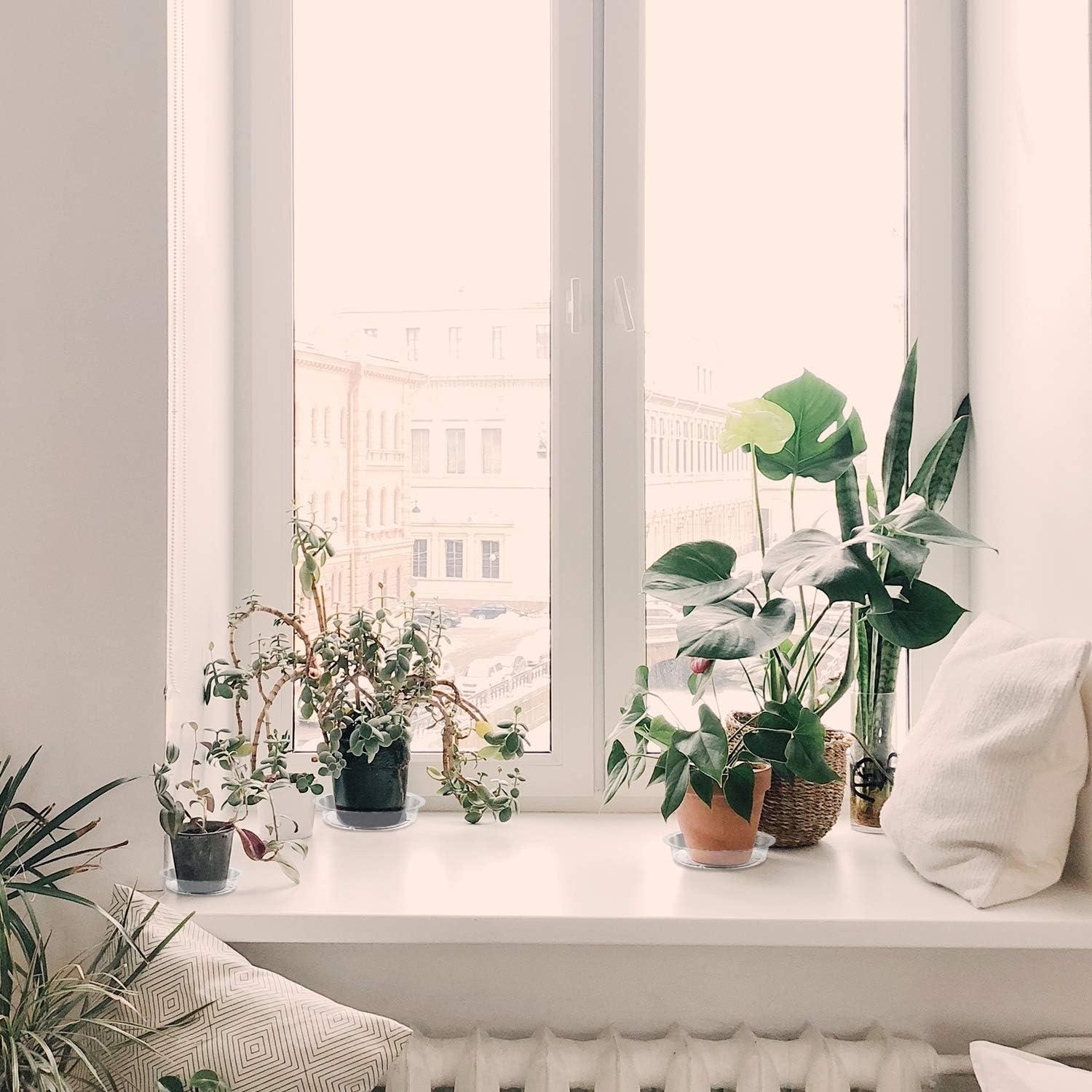 Plato para Plantas Rocutus 15.24 cm - Paquete de 20 Bandejas de Goteo