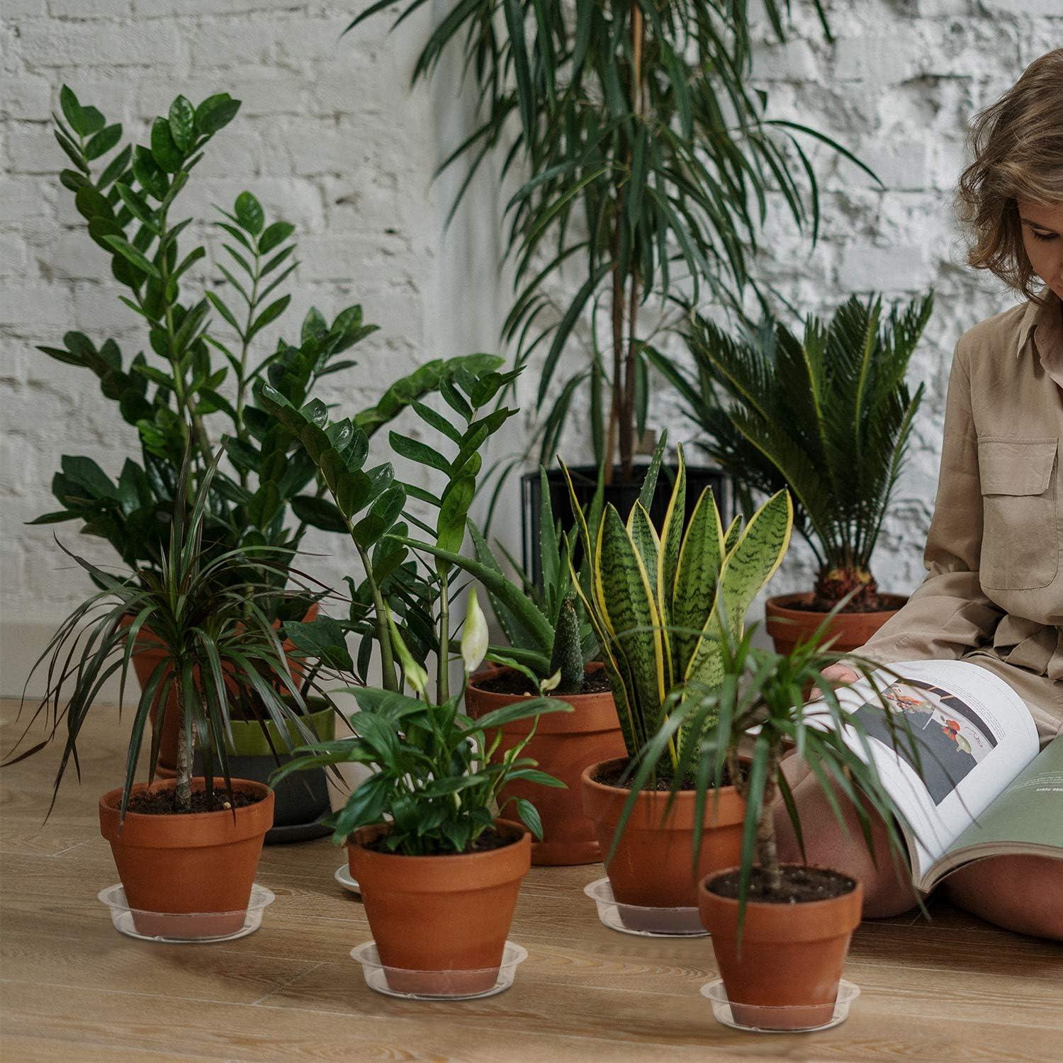 Plato para Plantas Rocutus 15.24 cm - Paquete de 20 Bandejas de Goteo