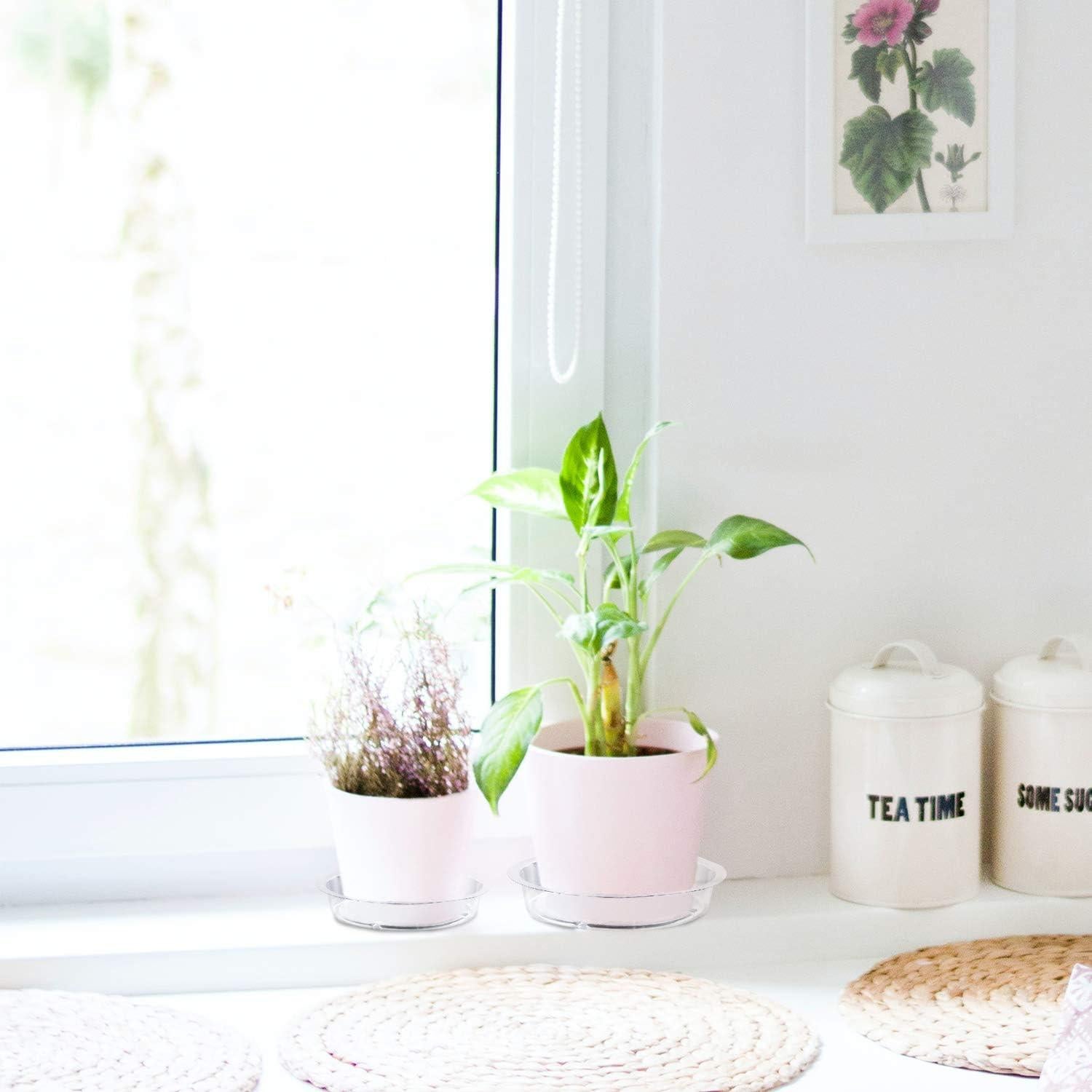 Plato para Plantas Rocutus 15.24 cm - Paquete de 20 Bandejas de Goteo