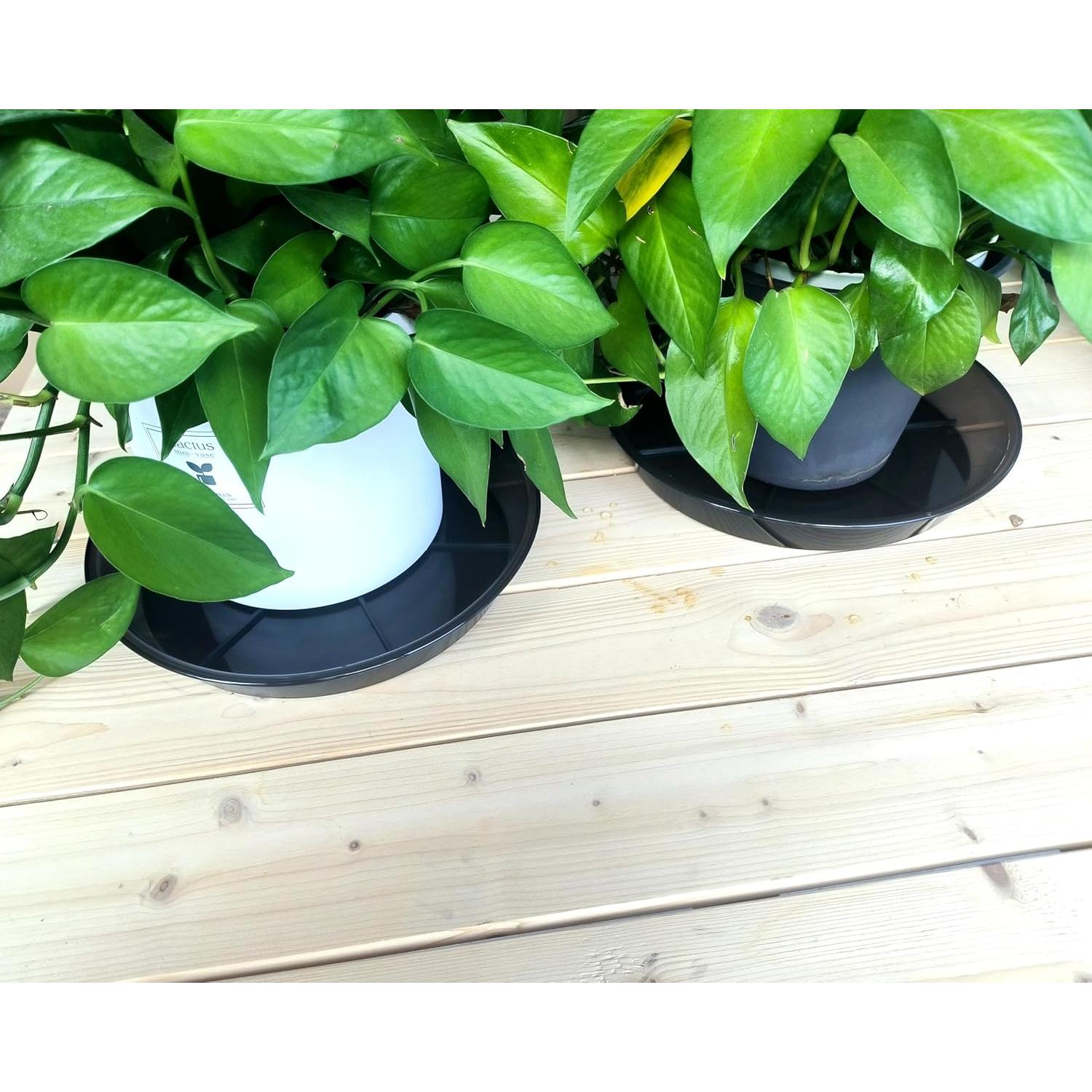 Plato para Plantas 10" NIMYAU - 6 Paquetes de Plástico