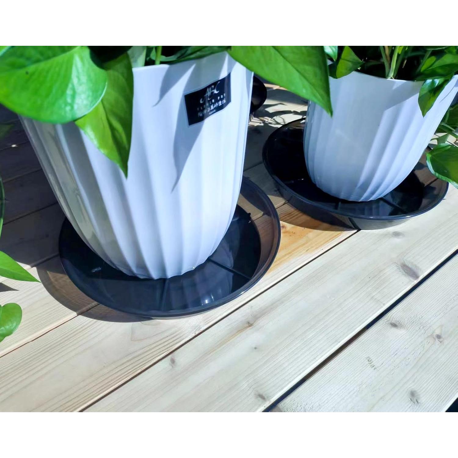 Plato para Plantas 10" NIMYAU - 6 Paquetes de Plástico