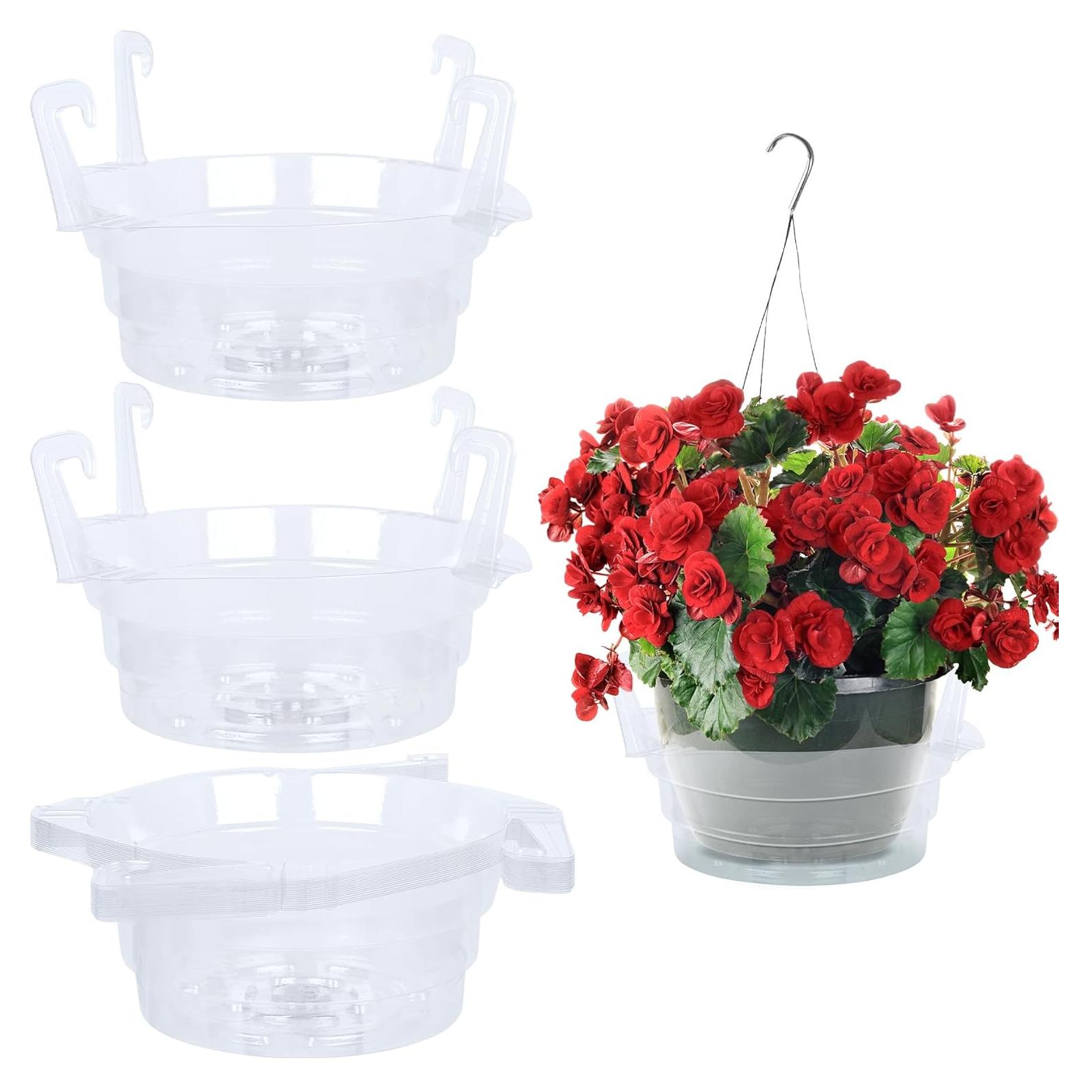 Plato de Goteo Miuwauer 20 Unidades 20 cm Redondo Transparente